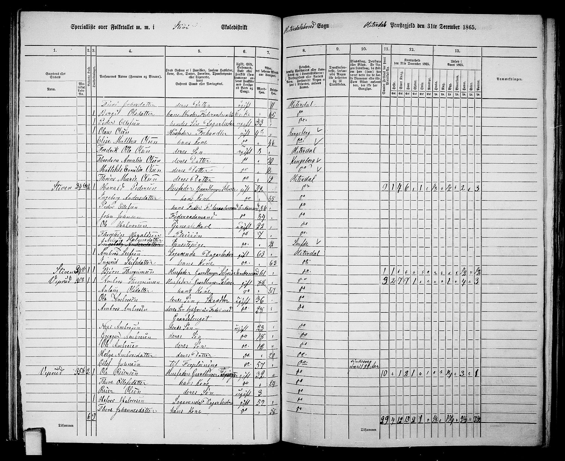 RA, 1865 census for Heddal, 1865, p. 37