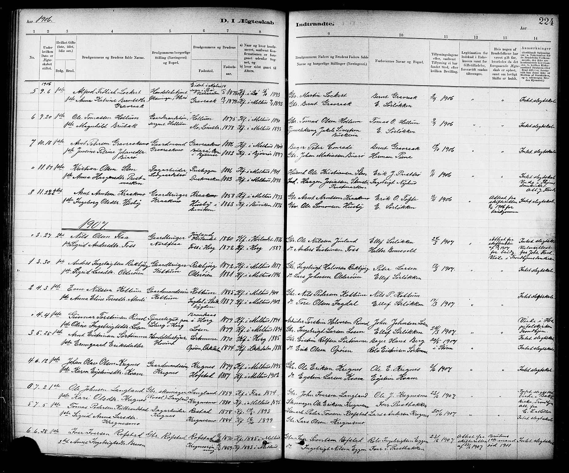 Ministerialprotokoller, klokkerbøker og fødselsregistre - Sør-Trøndelag, SAT/A-1456/691/L1094: Parish register (copy) no. 691C05, 1879-1911, p. 224