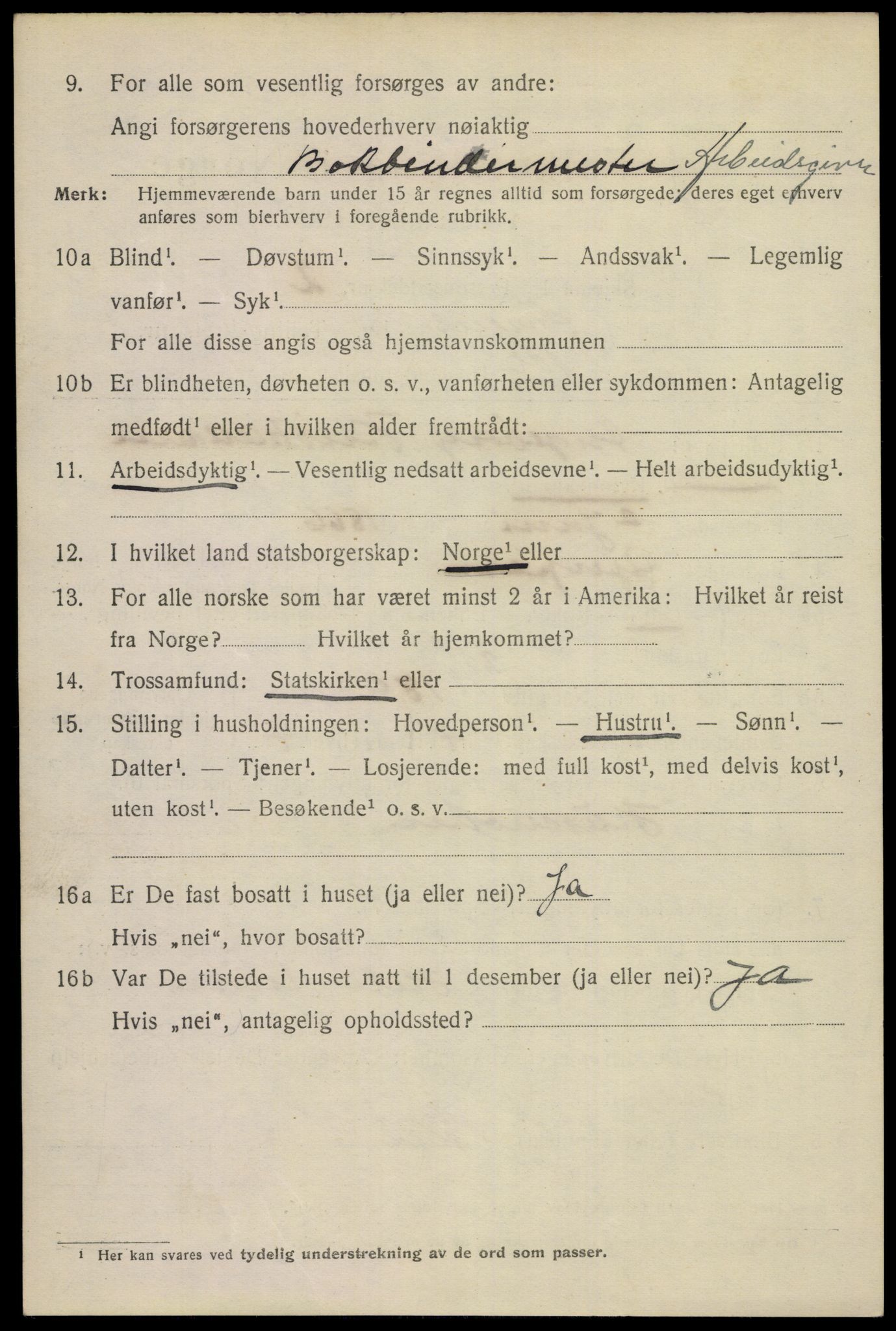SAKO, 1920 census for Skien, 1920, p. 26619