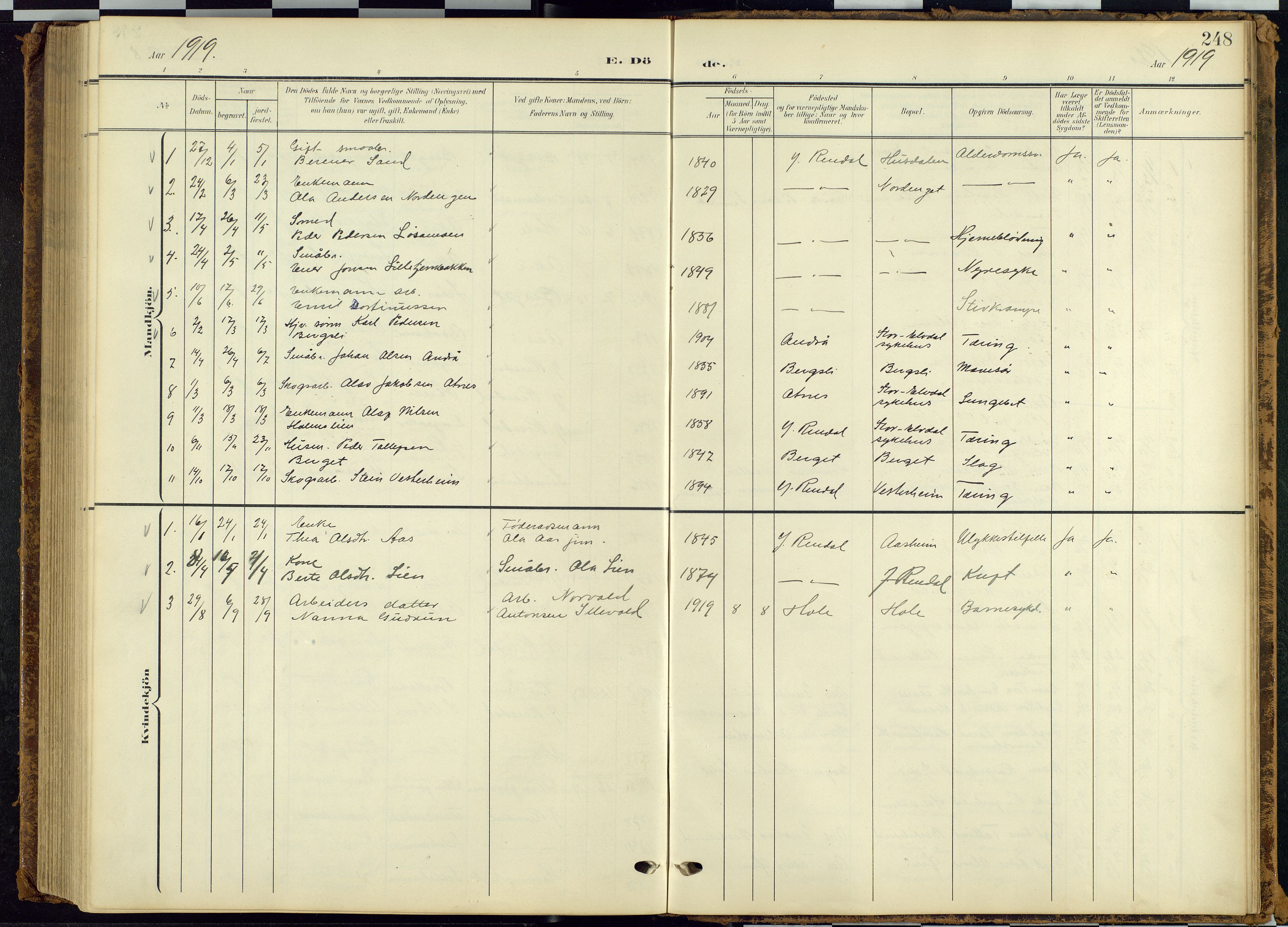 Rendalen prestekontor, SAH/PREST-054/H/Ha/Hab/L0010: Parish register (copy) no. 10, 1903-1940, p. 248