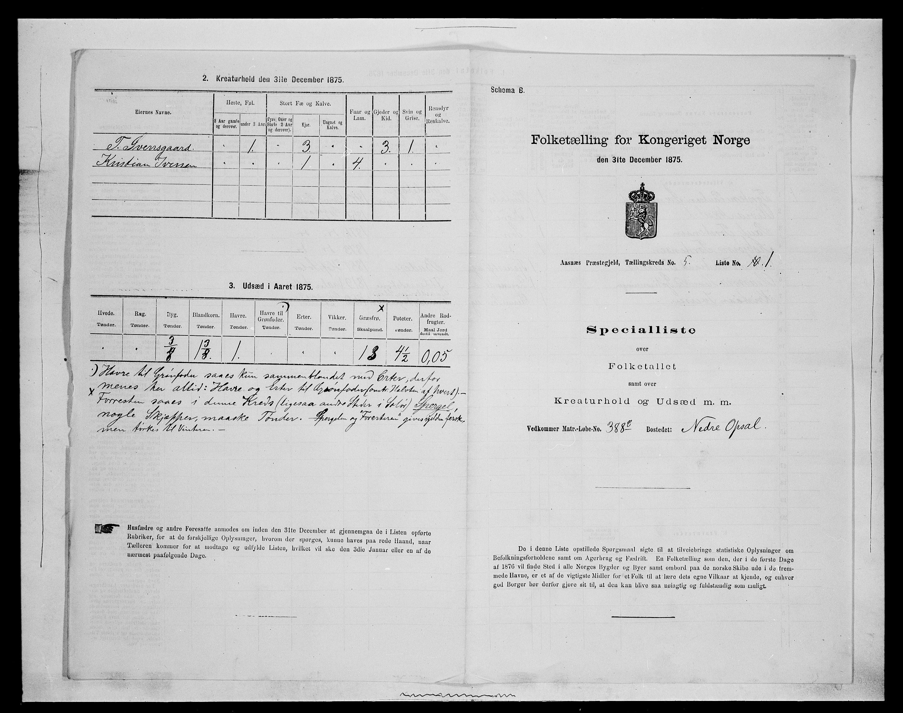 SAH, 1875 census for 0425P Åsnes, 1875, p. 697