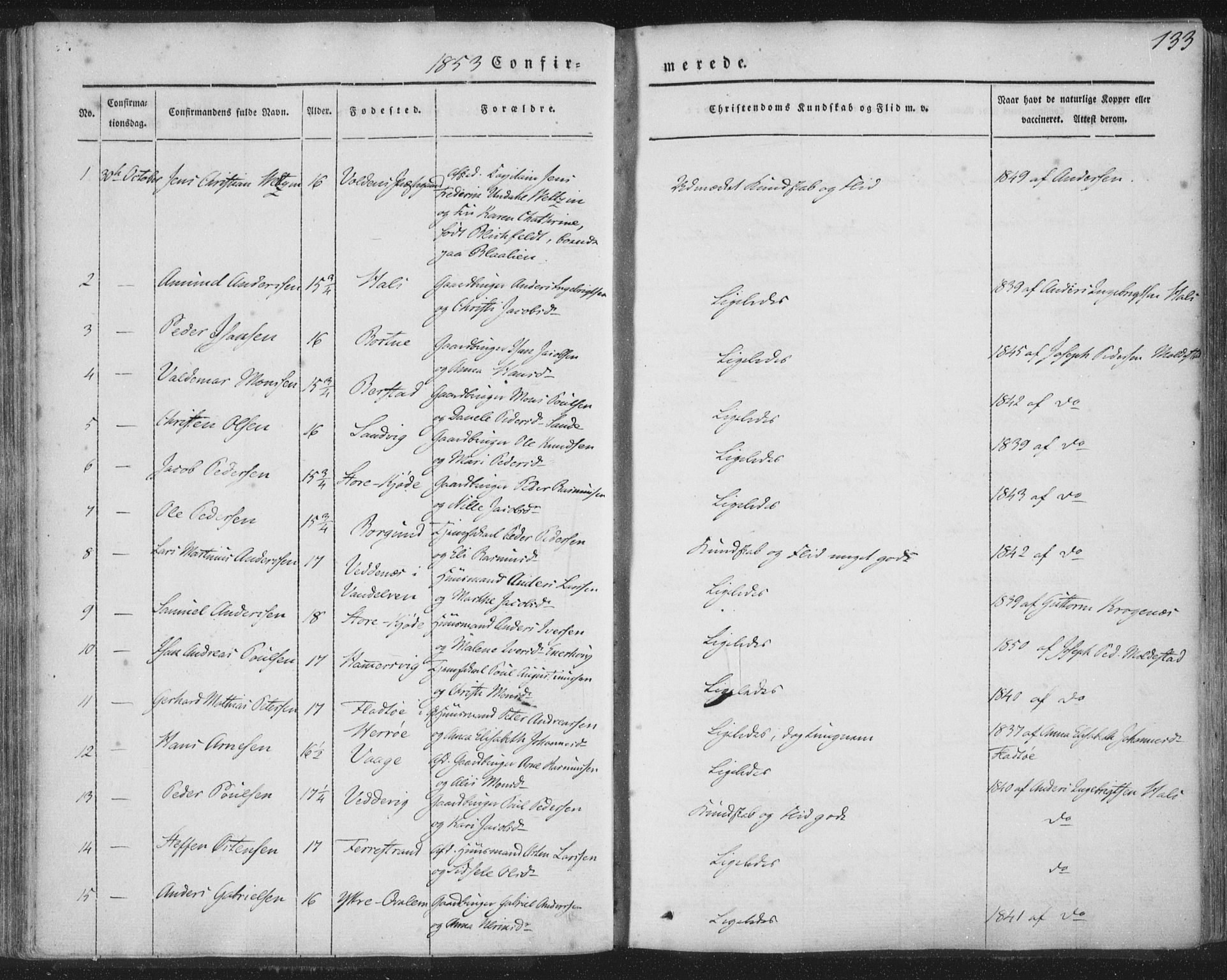 Selje sokneprestembete, SAB/A-99938/H/Ha/Haa/Haaa: Parish register (official) no. A 10, 1844-1858, p. 133