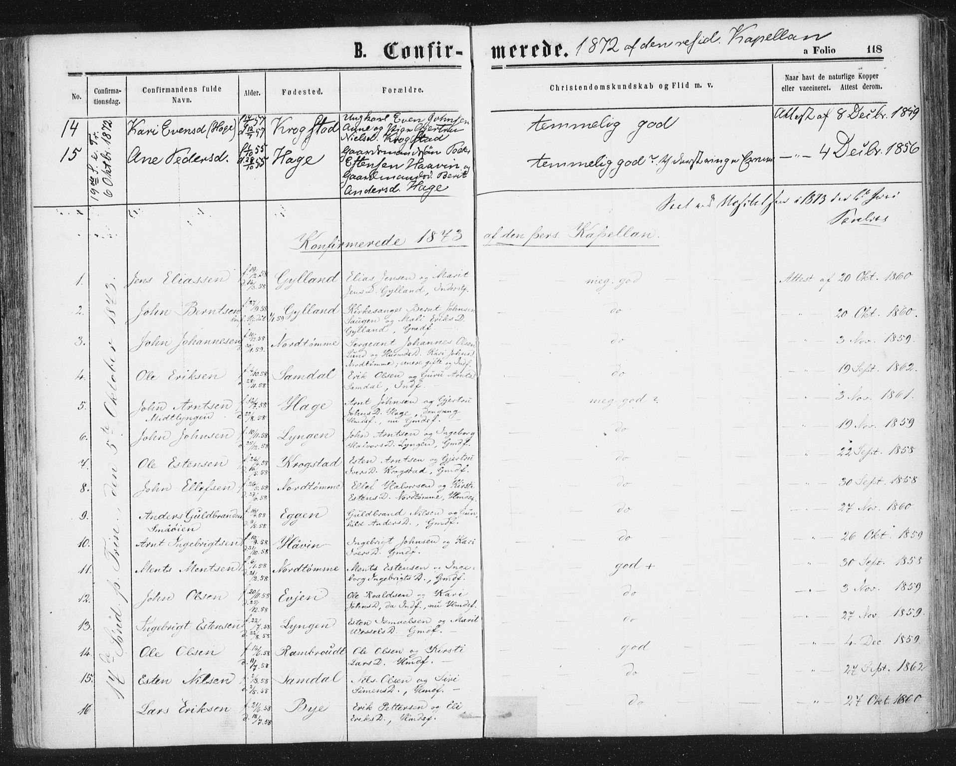 Ministerialprotokoller, klokkerbøker og fødselsregistre - Sør-Trøndelag, AV/SAT-A-1456/692/L1104: Parish register (official) no. 692A04, 1862-1878, p. 118