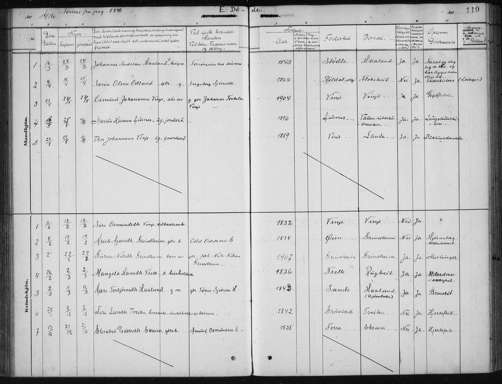 Etne sokneprestembete, SAB/A-75001/H/Haa: Parish register (official) no. D  1, 1879-1919, p. 119