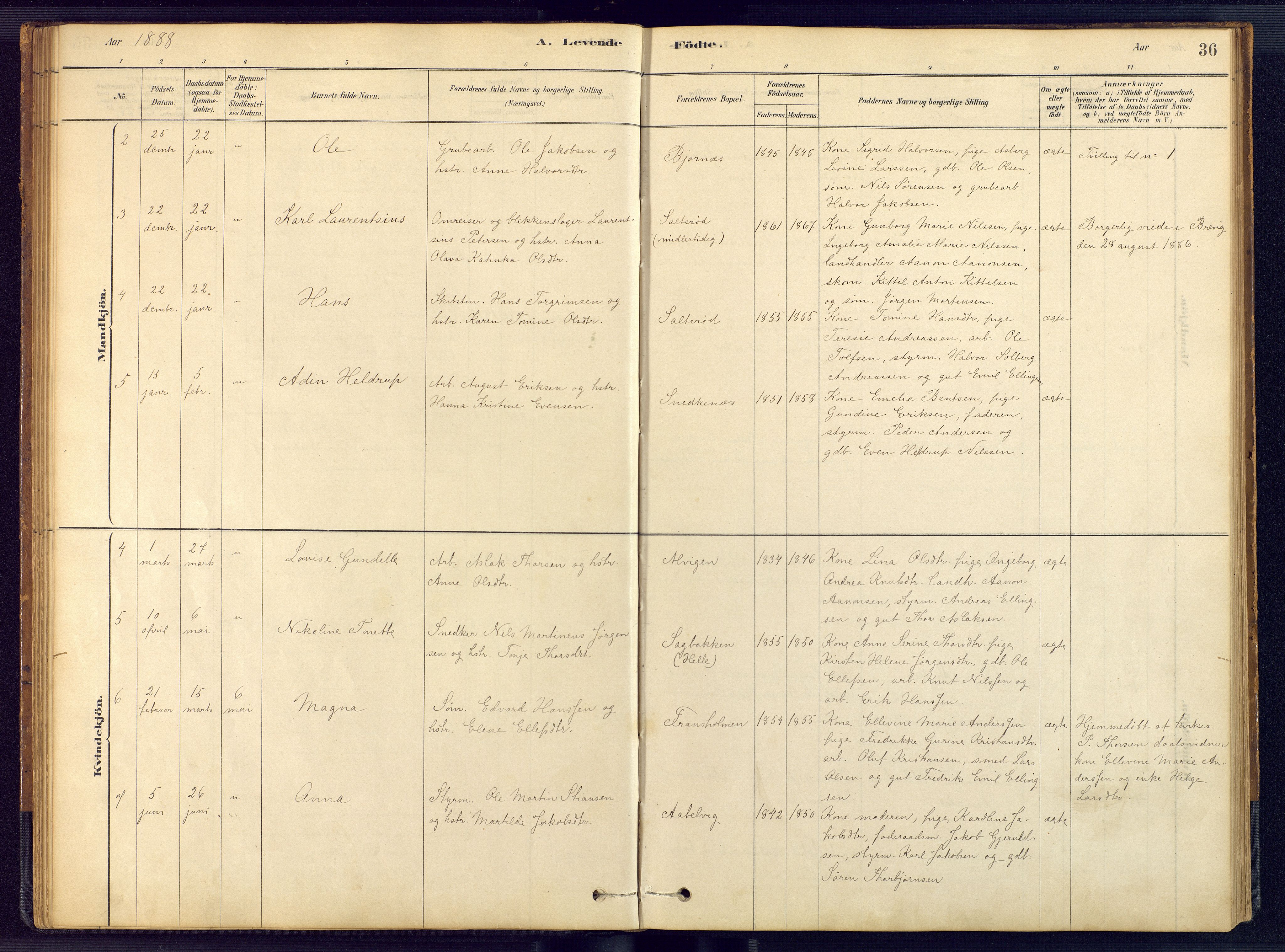 Austre Moland sokneprestkontor, SAK/1111-0001/F/Fb/Fbb/L0001: Parish register (copy) no. B 1, 1878-1904, p. 36