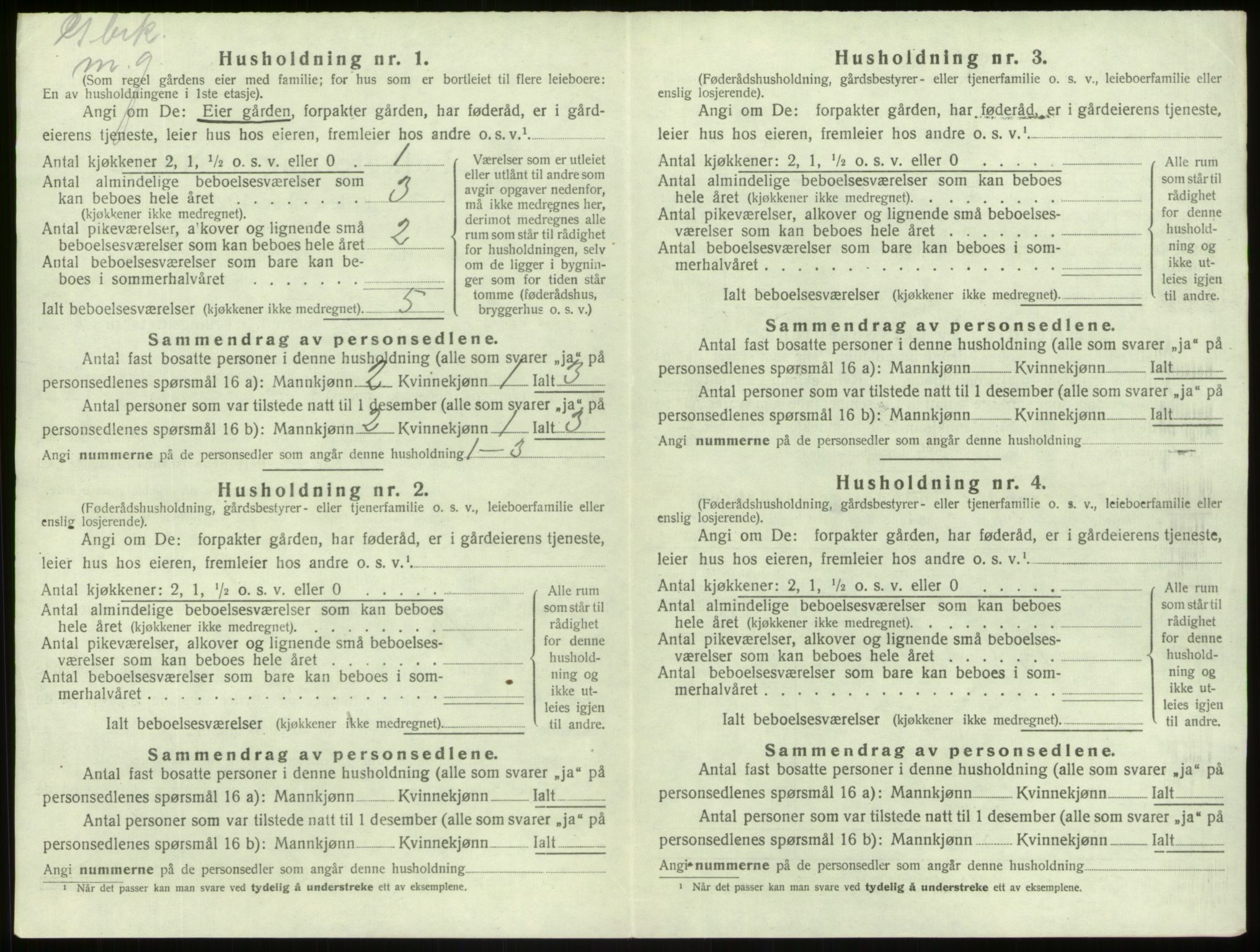 SAB, 1920 census for Lærdal, 1920, p. 420