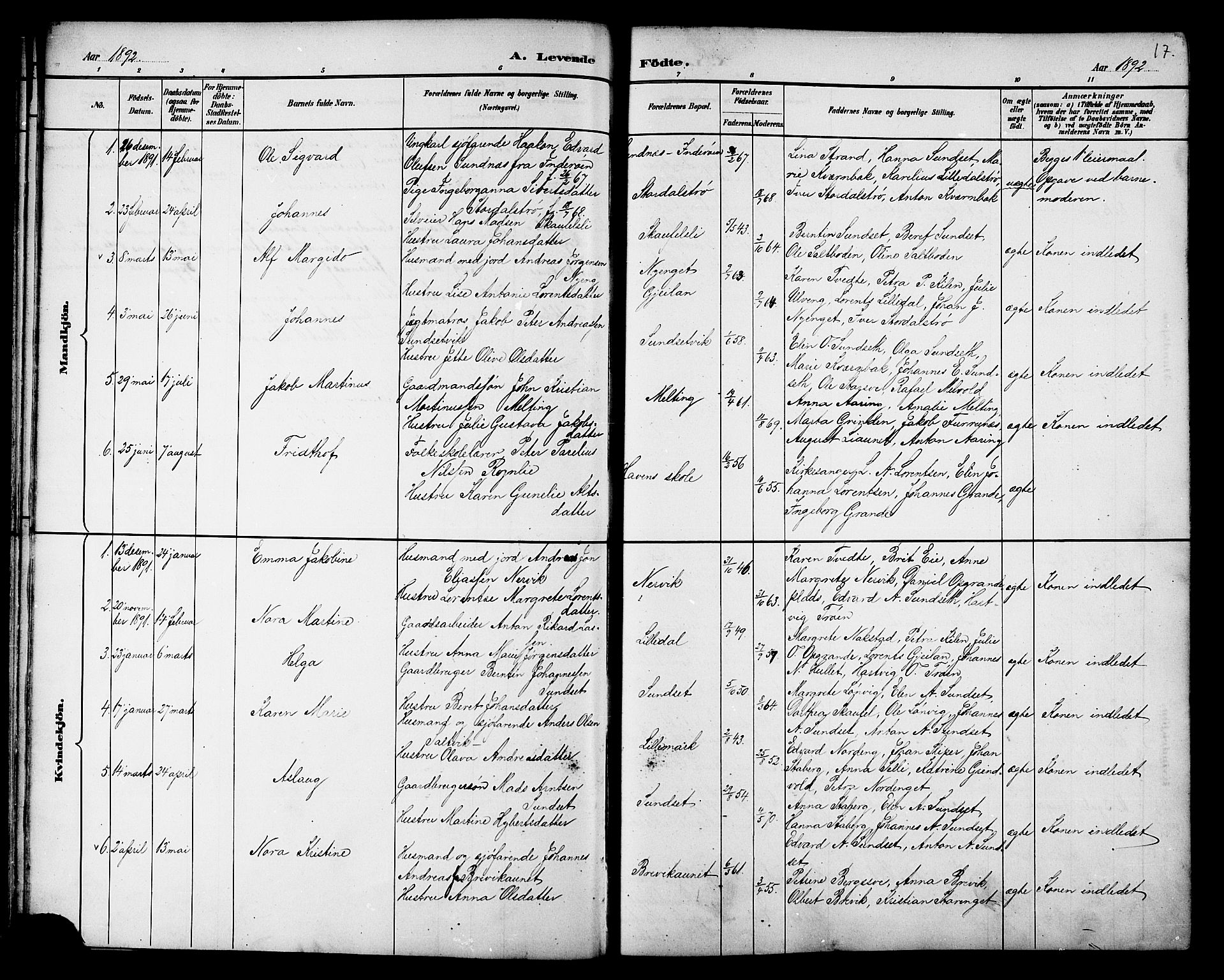 Ministerialprotokoller, klokkerbøker og fødselsregistre - Nord-Trøndelag, AV/SAT-A-1458/733/L0327: Parish register (copy) no. 733C02, 1888-1918, p. 17