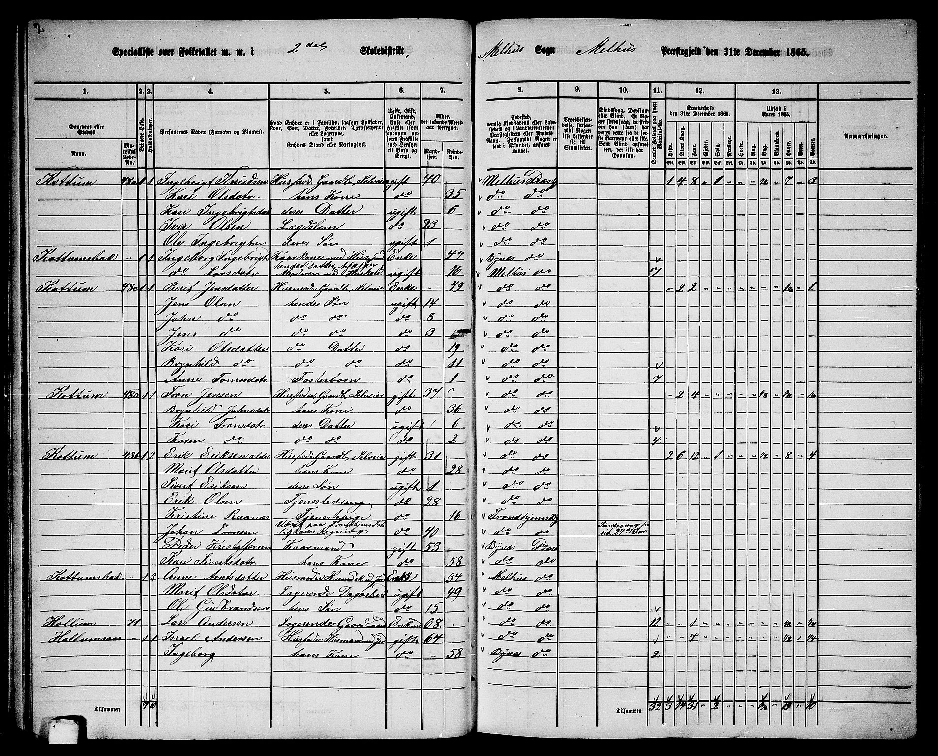 RA, 1865 census for Melhus, 1865, p. 51