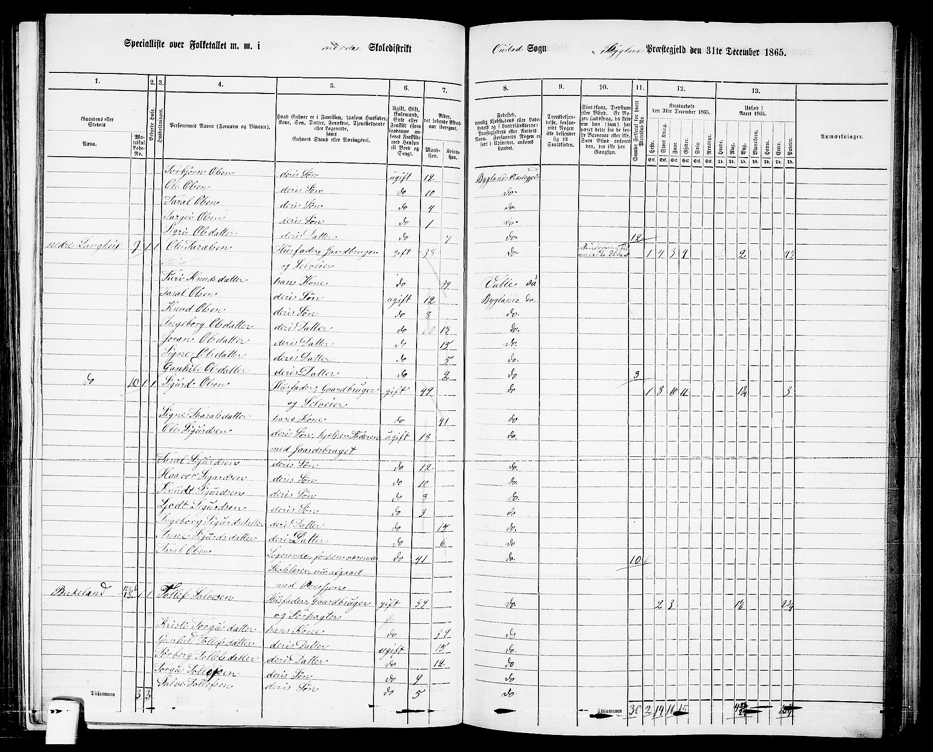 RA, 1865 census for Bygland, 1865, p. 8