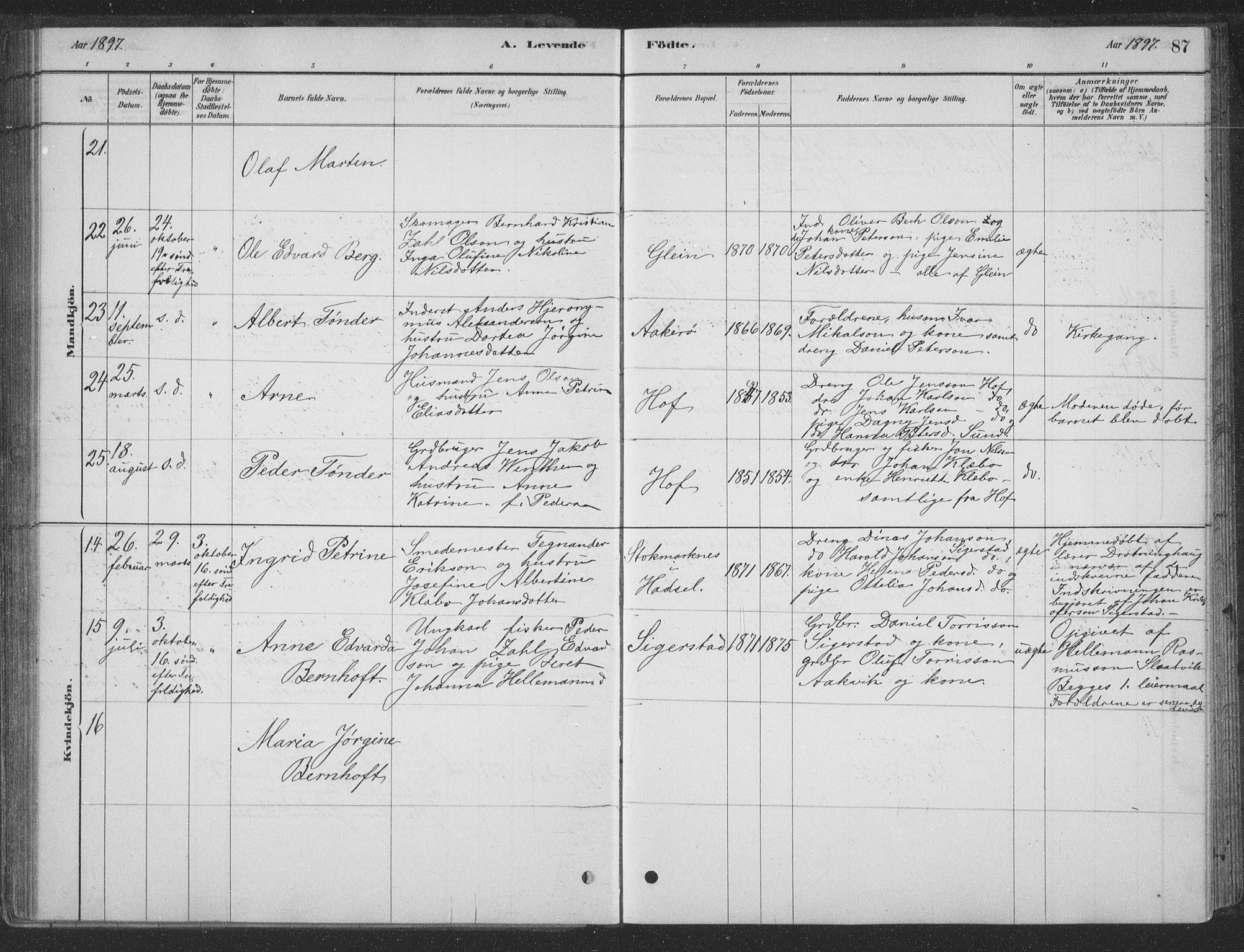 Ministerialprotokoller, klokkerbøker og fødselsregistre - Nordland, AV/SAT-A-1459/835/L0532: Parish register (copy) no. 835C04, 1880-1905, p. 87