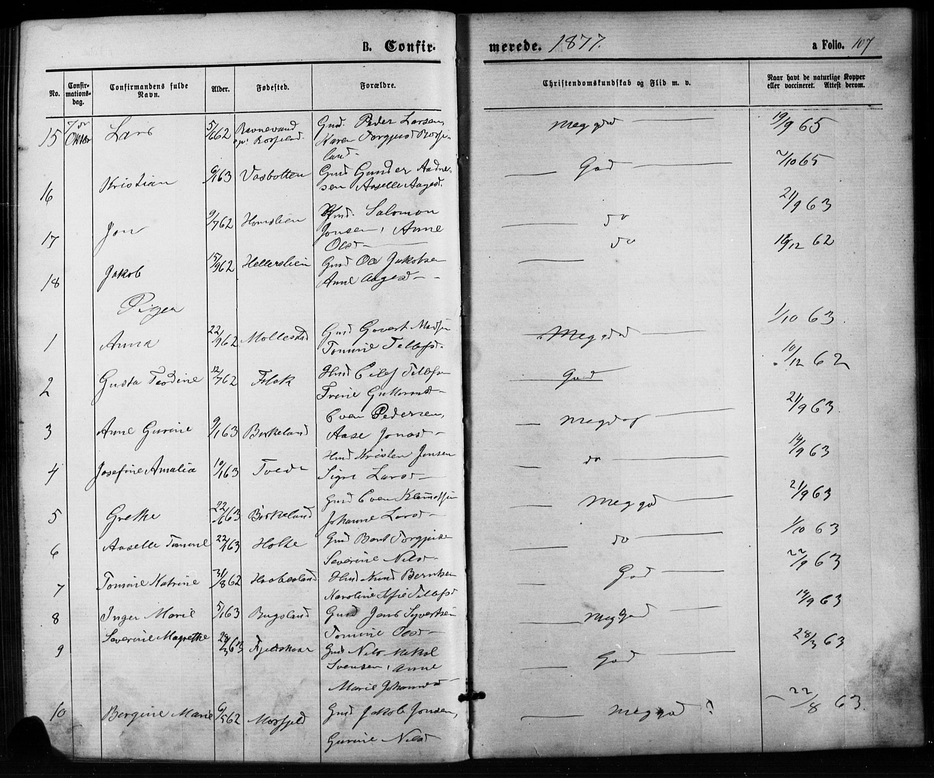 Birkenes sokneprestkontor, SAK/1111-0004/F/Fb/L0003: Parish register (copy) no. B 3, 1876-1892, p. 107