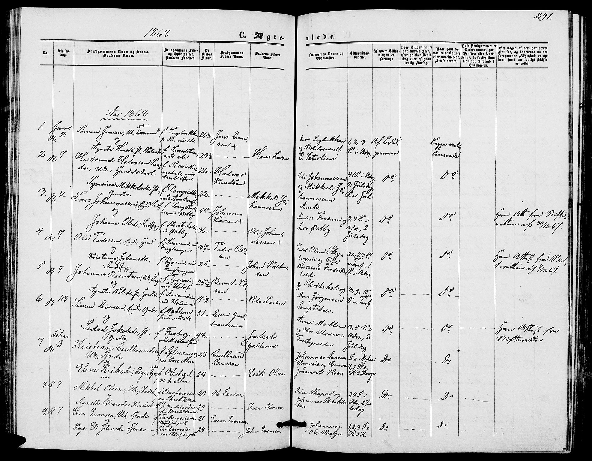 Ringsaker prestekontor, SAH/PREST-014/L/La/L0007: Parish register (copy) no. 7, 1861-1869, p. 291