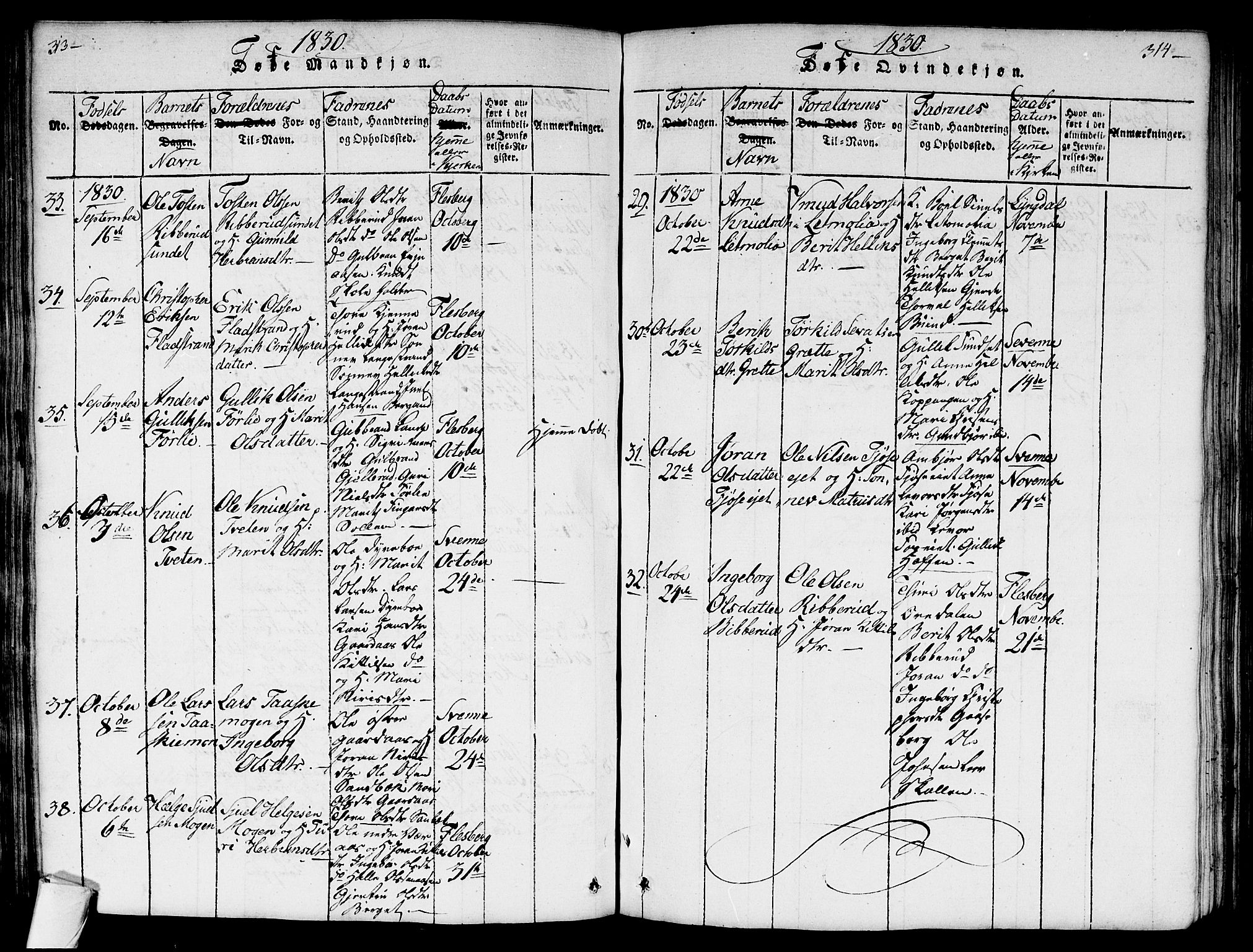 Flesberg kirkebøker, AV/SAKO-A-18/G/Ga/L0001: Parish register (copy) no. I 1, 1816-1834, p. 313-314