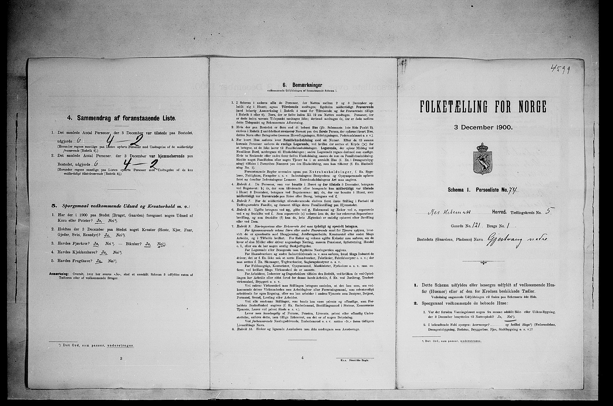 SAH, 1900 census for Nes, 1900, p. 41