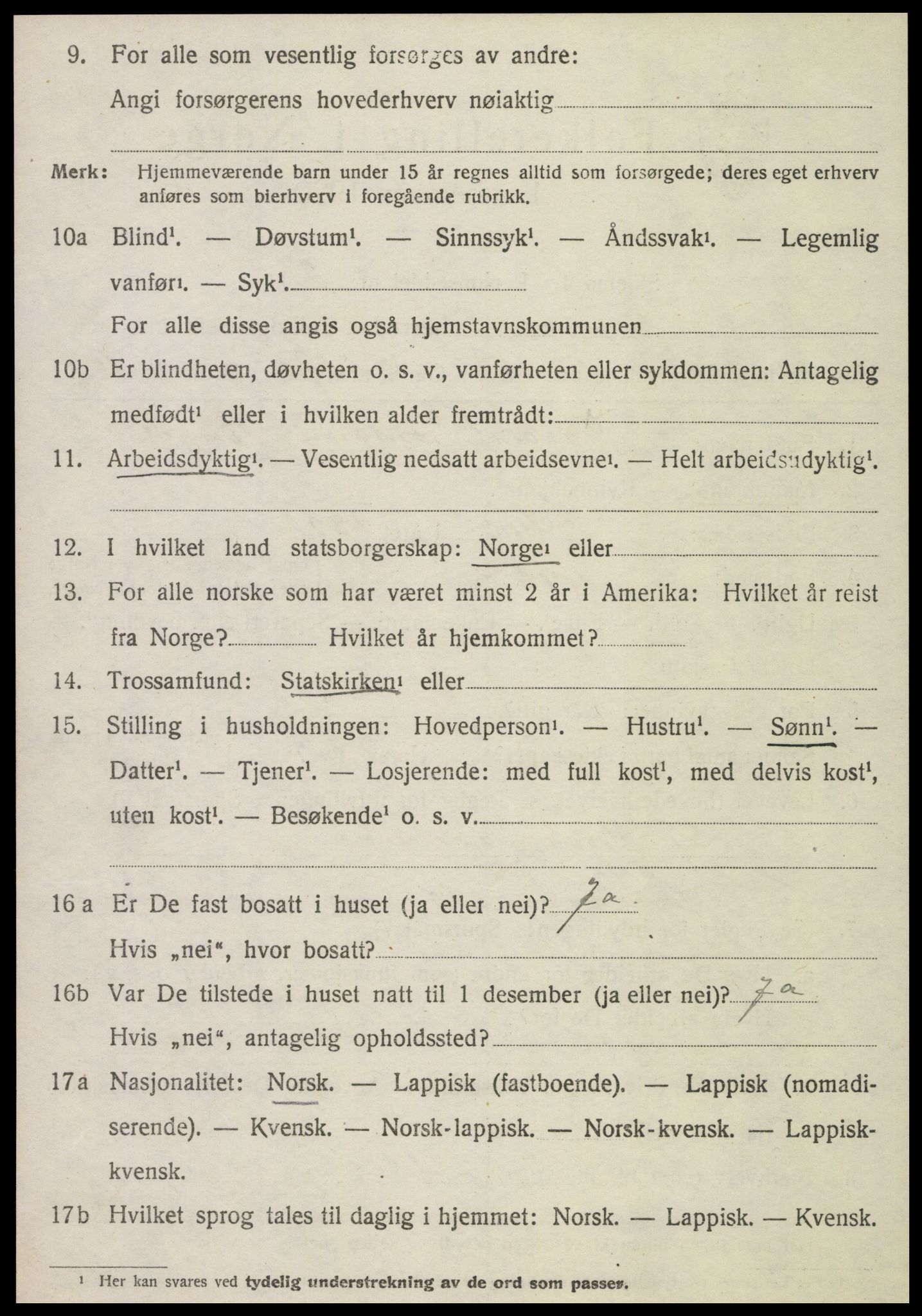 SAT, 1920 census for Tydal, 1920, p. 1042