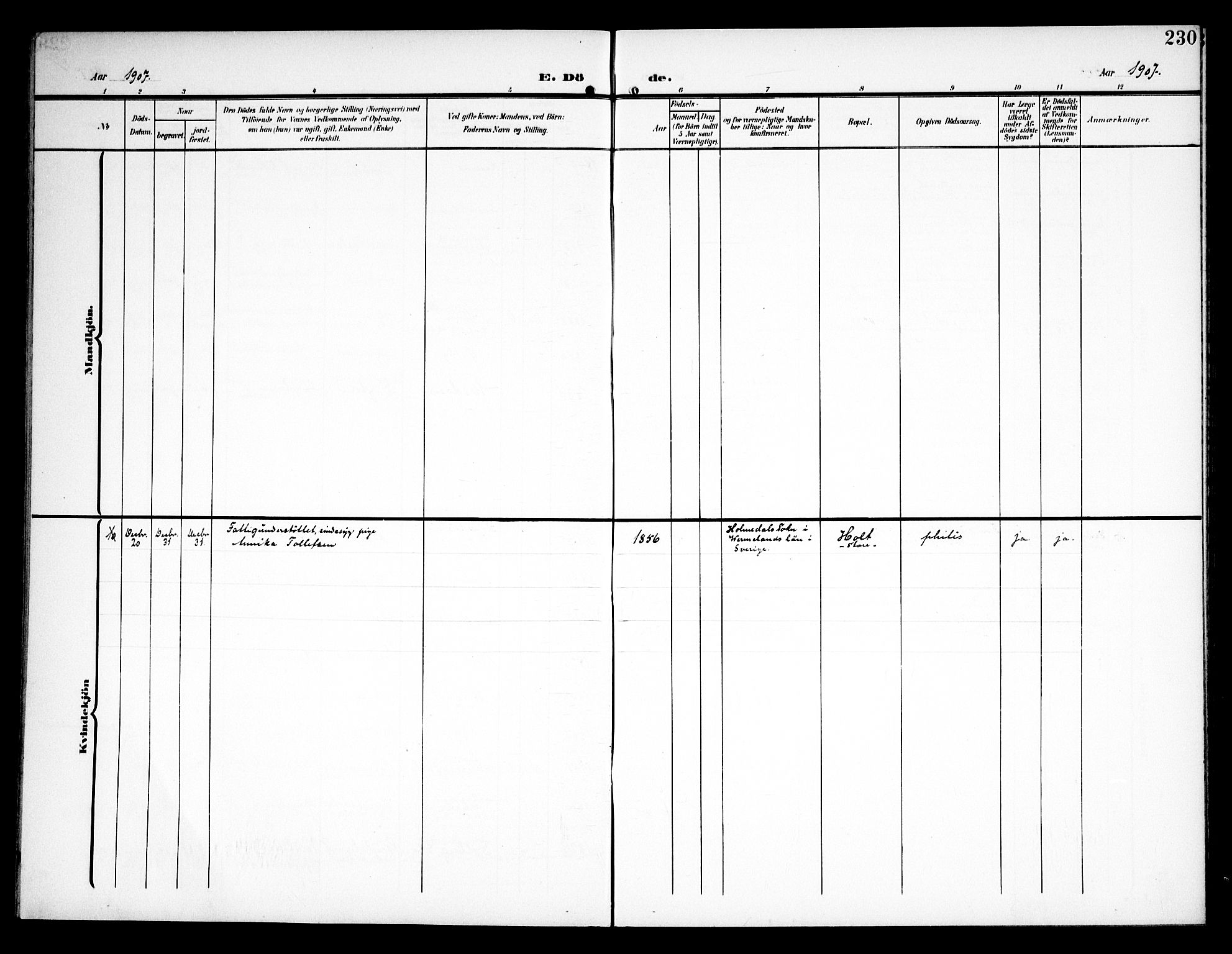 Kråkstad prestekontor Kirkebøker, AV/SAO-A-10125a/G/Ga/L0002: Parish register (copy) no. I 2, 1905-1934, p. 230