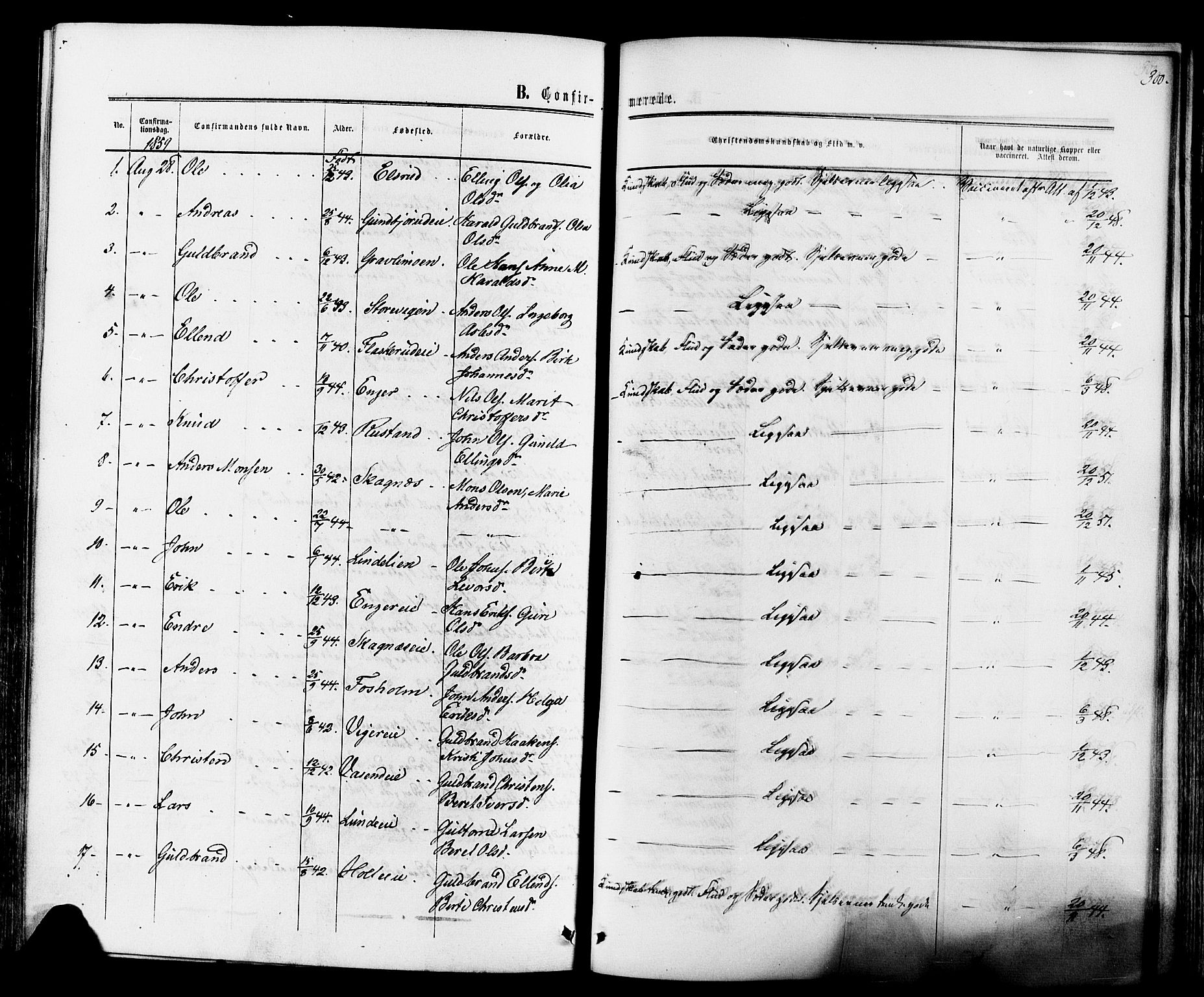 Ådal kirkebøker, SAKO/A-248/F/Fa/L0001: Parish register (official) no. I 1, 1857-1883, p. 300