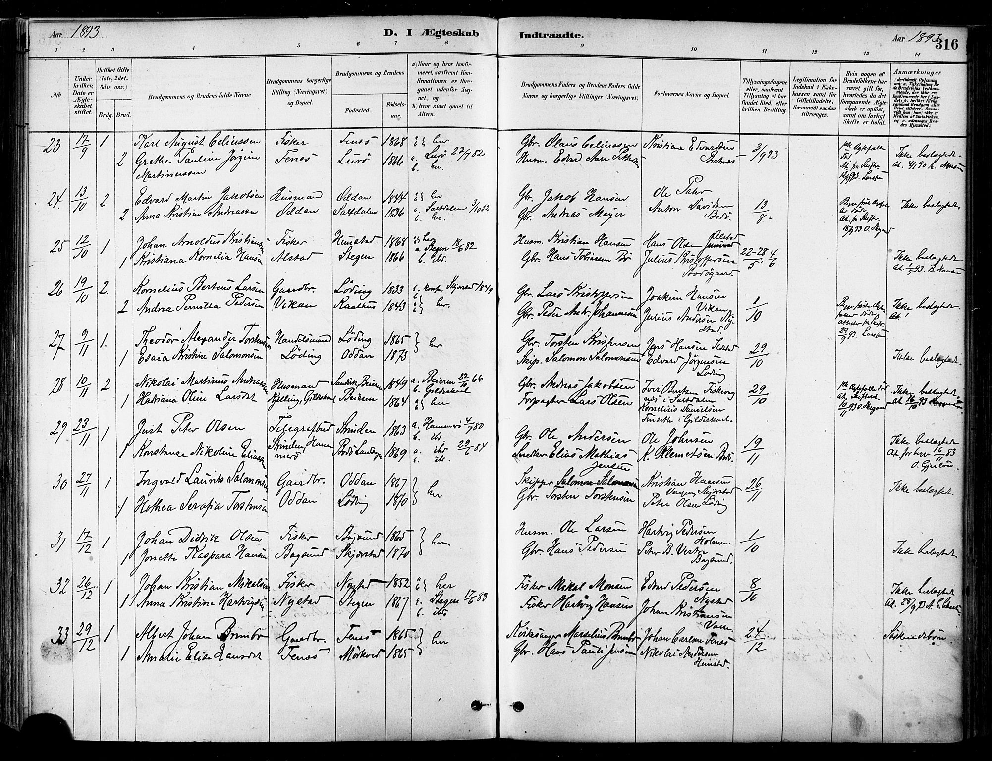 Ministerialprotokoller, klokkerbøker og fødselsregistre - Nordland, AV/SAT-A-1459/802/L0054: Parish register (official) no. 802A01, 1879-1893, p. 316