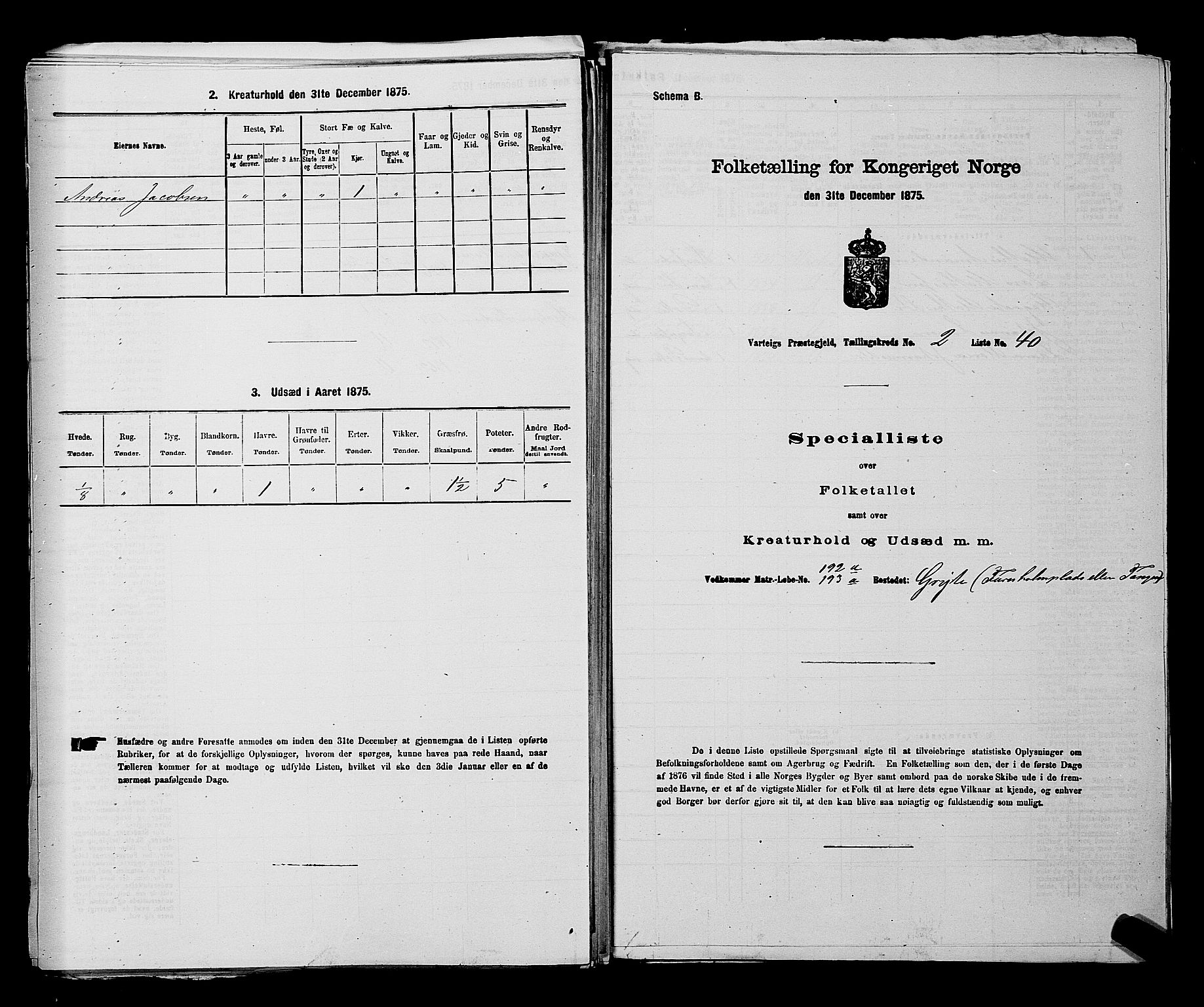 RA, 1875 census for 0114P Varteig, 1875, p. 246