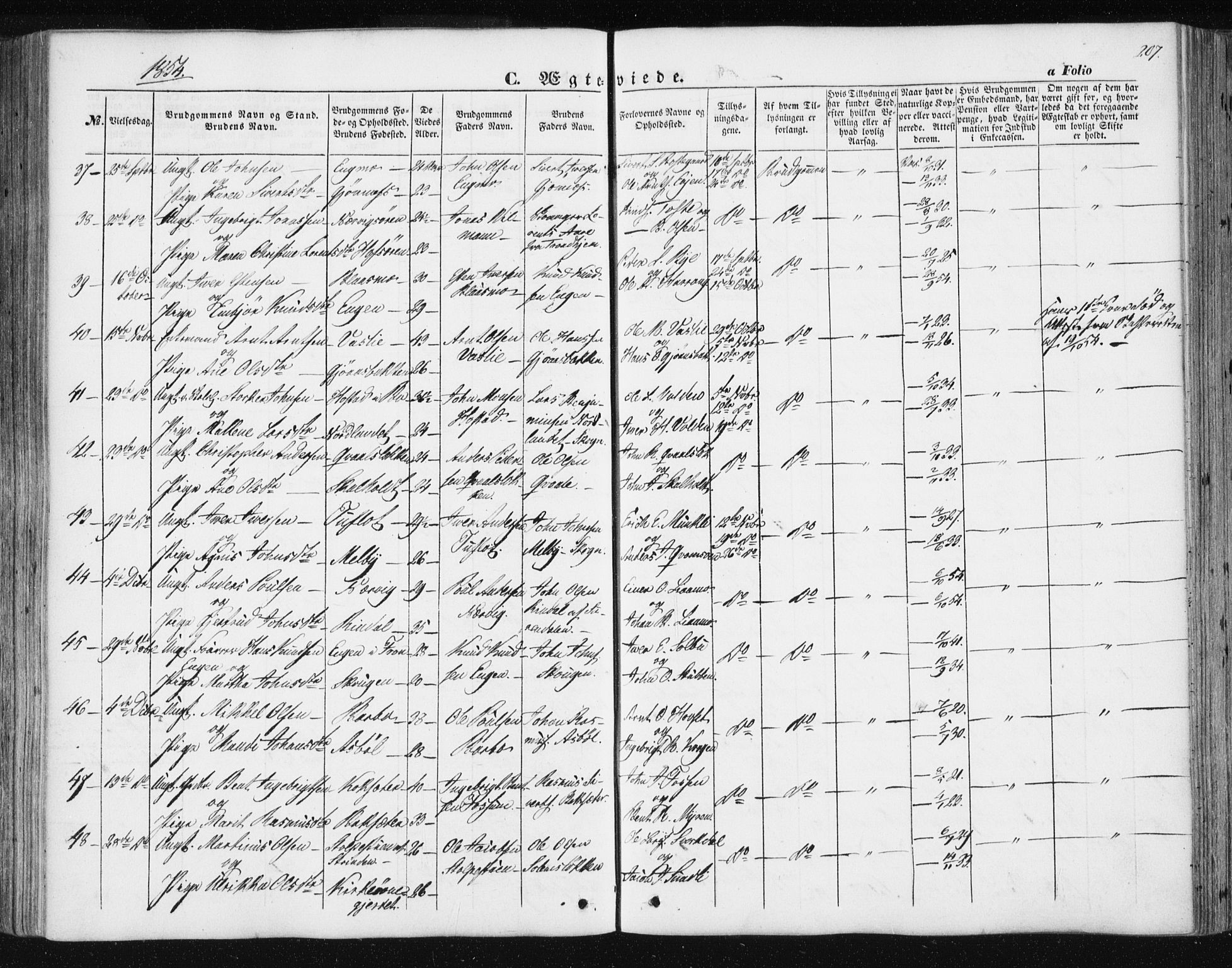 Ministerialprotokoller, klokkerbøker og fødselsregistre - Sør-Trøndelag, AV/SAT-A-1456/668/L0806: Parish register (official) no. 668A06, 1854-1869, p. 207