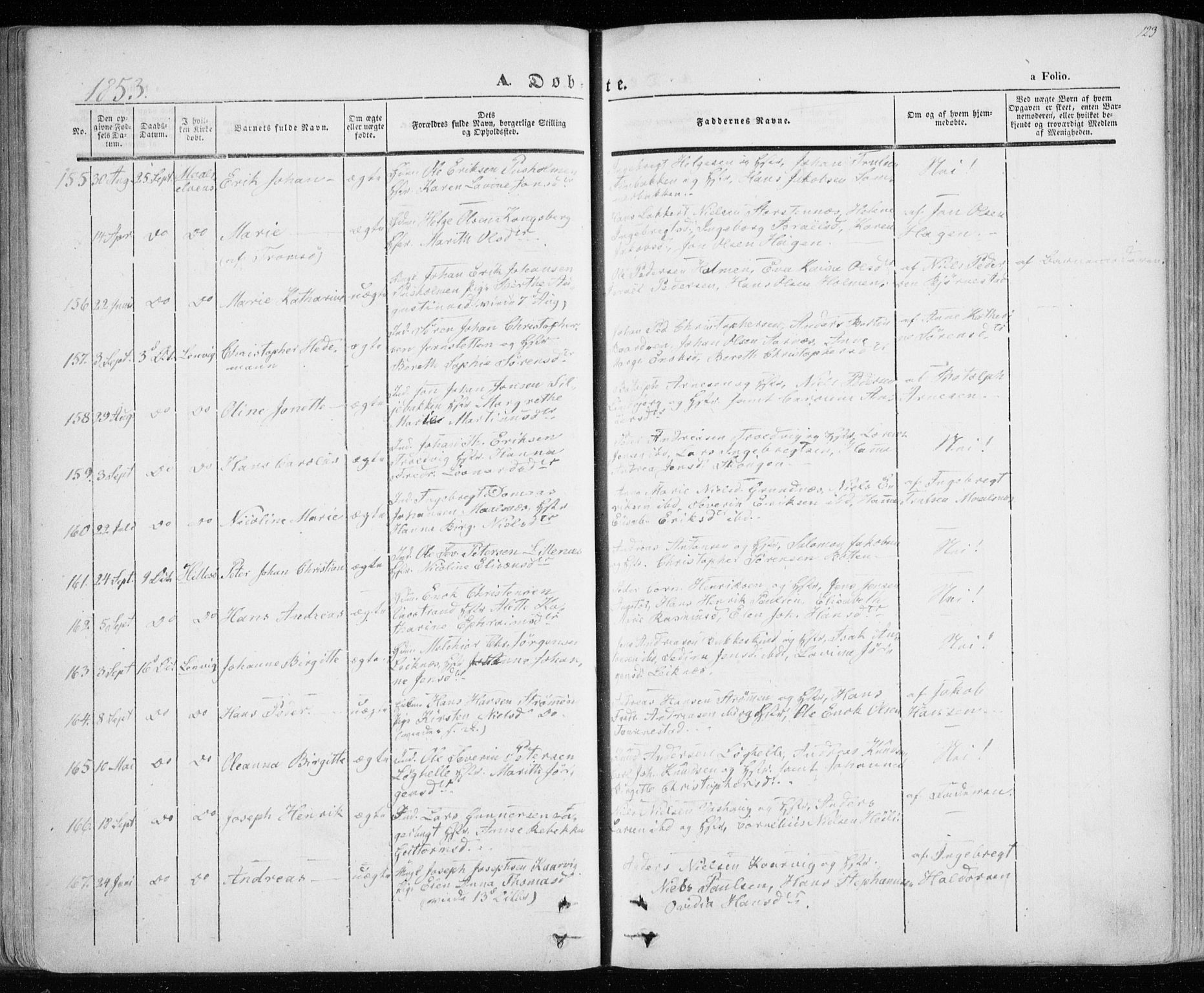 Lenvik sokneprestembete, AV/SATØ-S-1310/H/Ha/Haa/L0006kirke: Parish register (official) no. 6, 1845-1854, p. 123