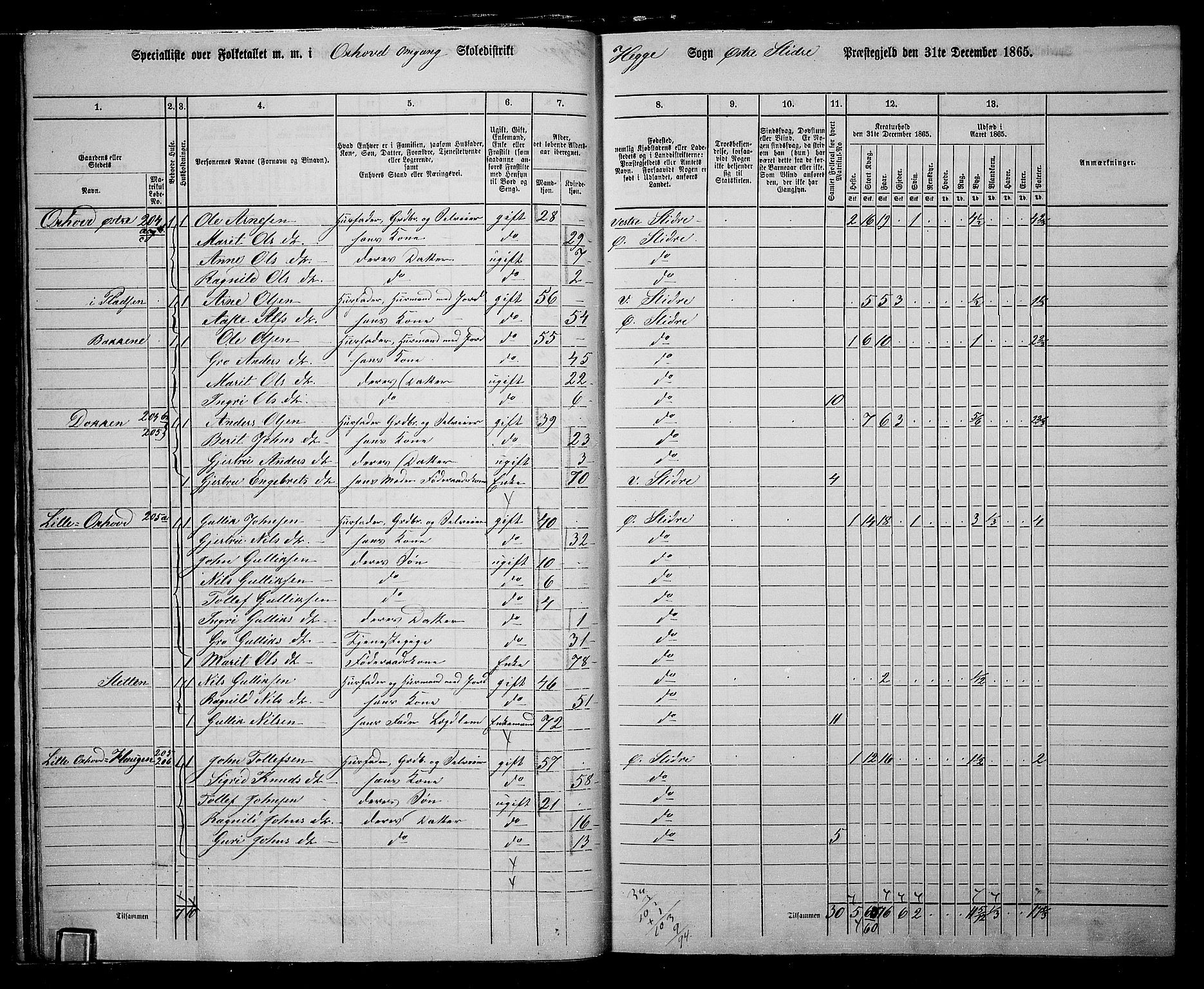 RA, 1865 census for Øystre Slidre, 1865, p. 22