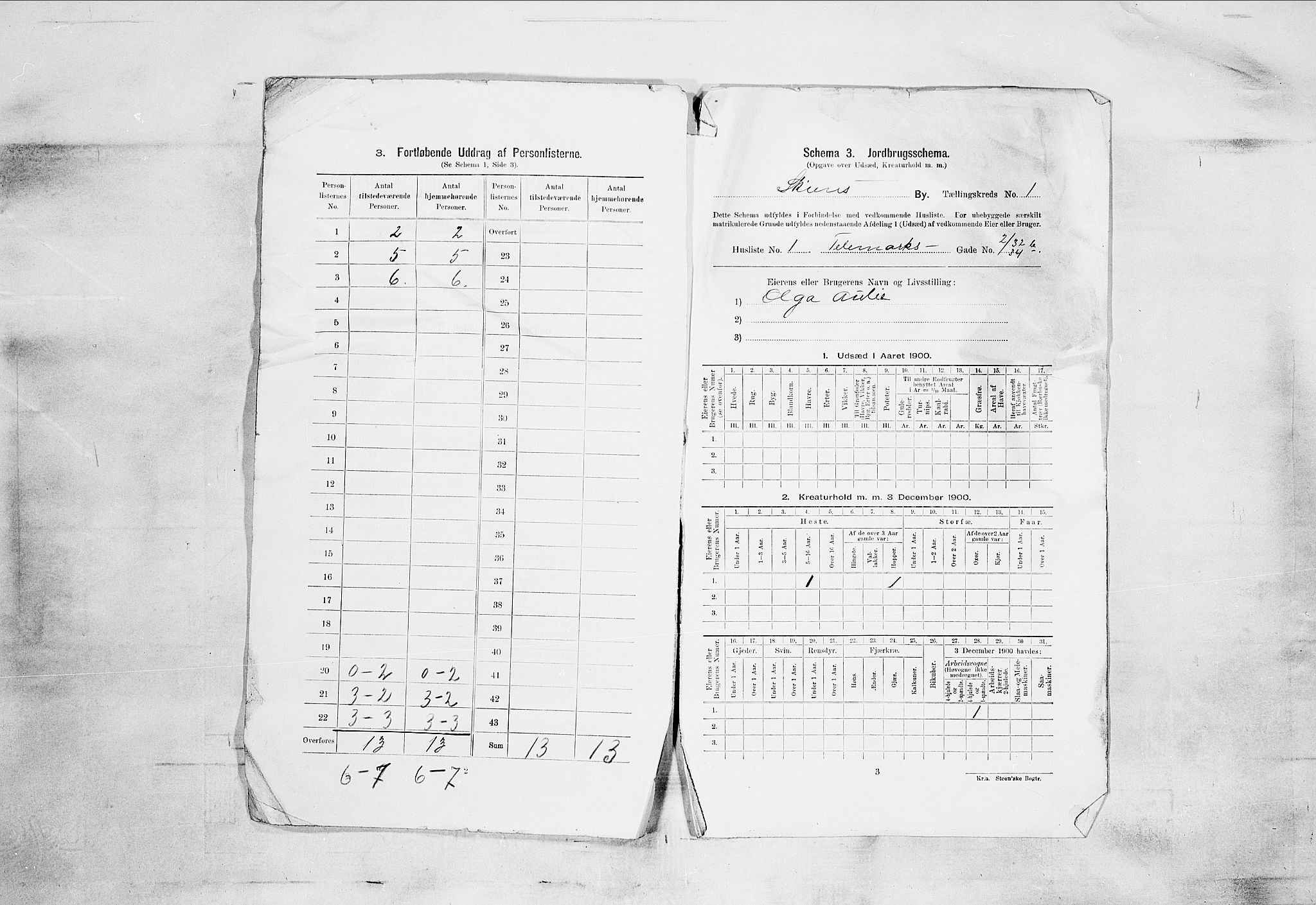 SAKO, 1900 census for Skien, 1900, p. 77