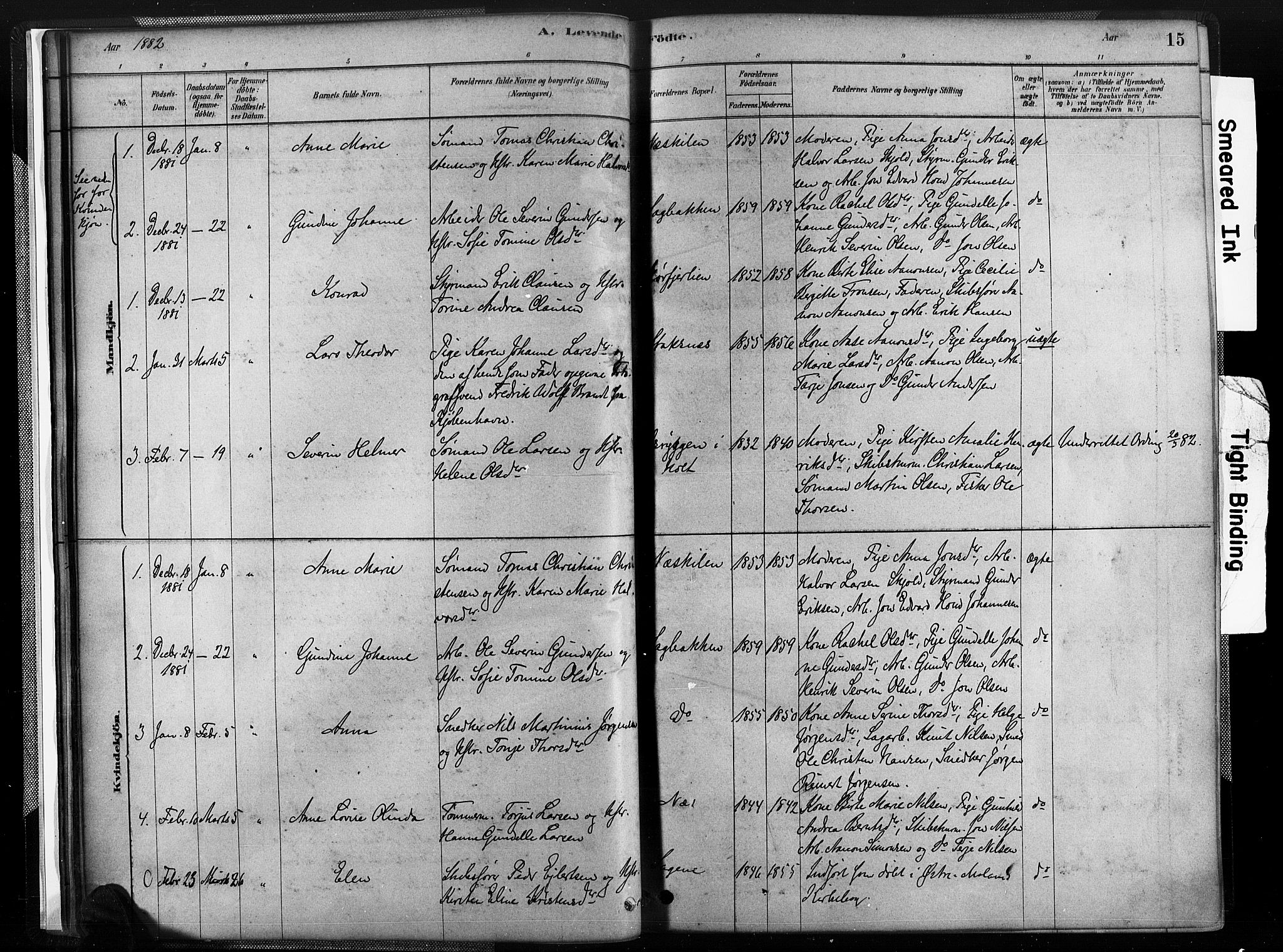 Austre Moland sokneprestkontor, AV/SAK-1111-0001/F/Fa/Fab/L0001: Parish register (official) no. A 1, 1878-1898, p. 15
