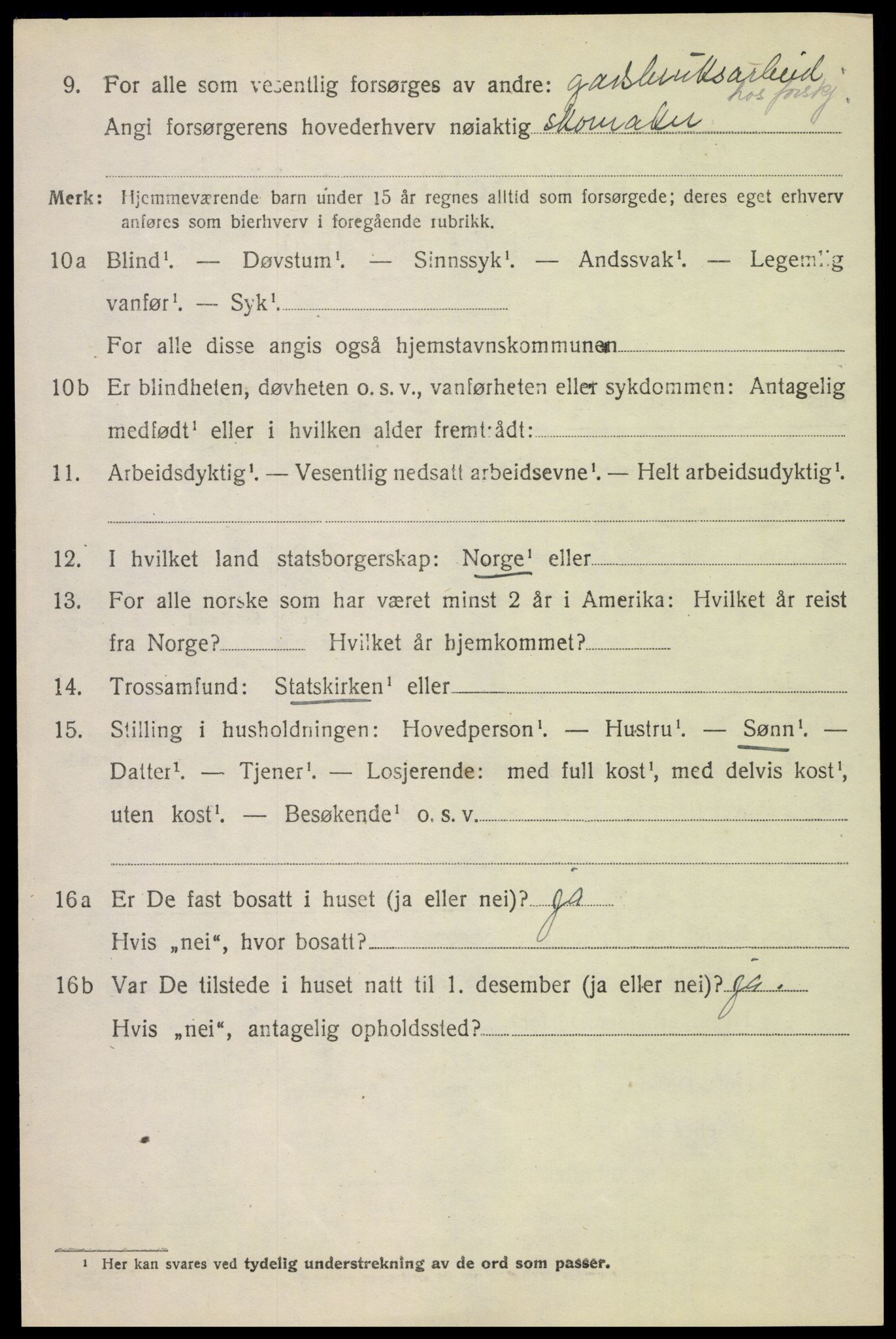 SAH, 1920 census for Lom, 1920, p. 2315