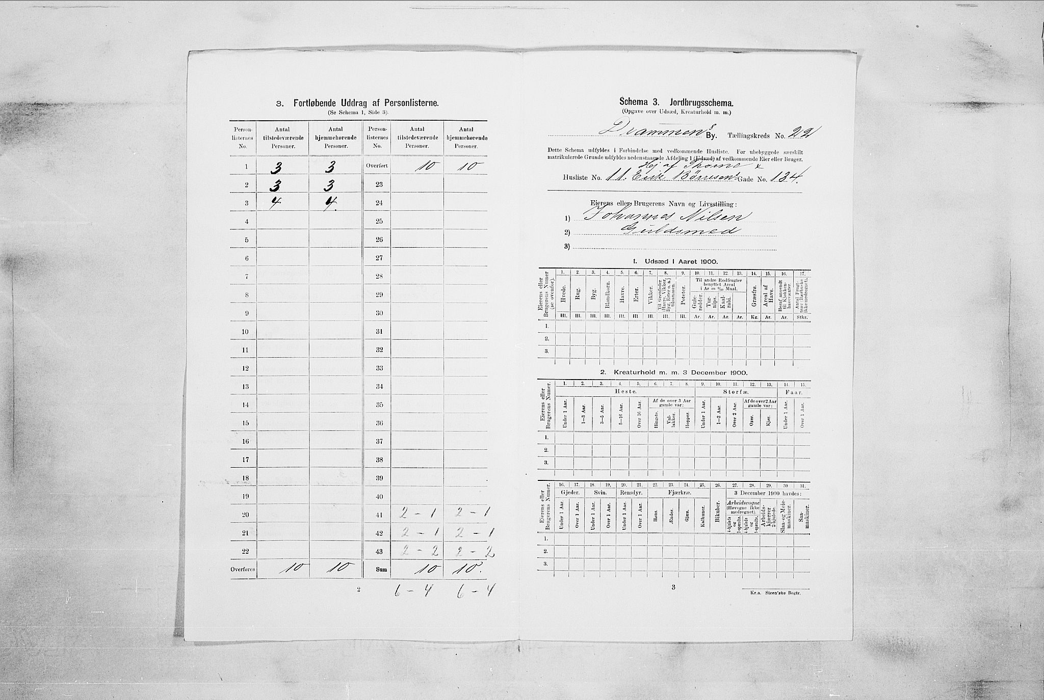 RA, 1900 census for Drammen, 1900, p. 13536