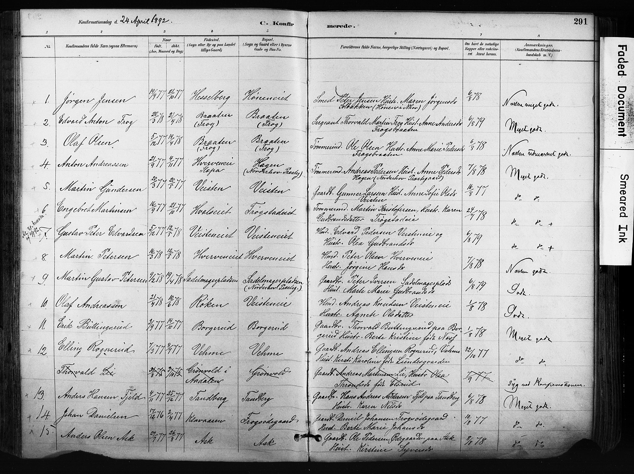 Norderhov kirkebøker, SAKO/A-237/F/Fa/L0016: Parish register (official) no. 16, 1885-1902, p. 291