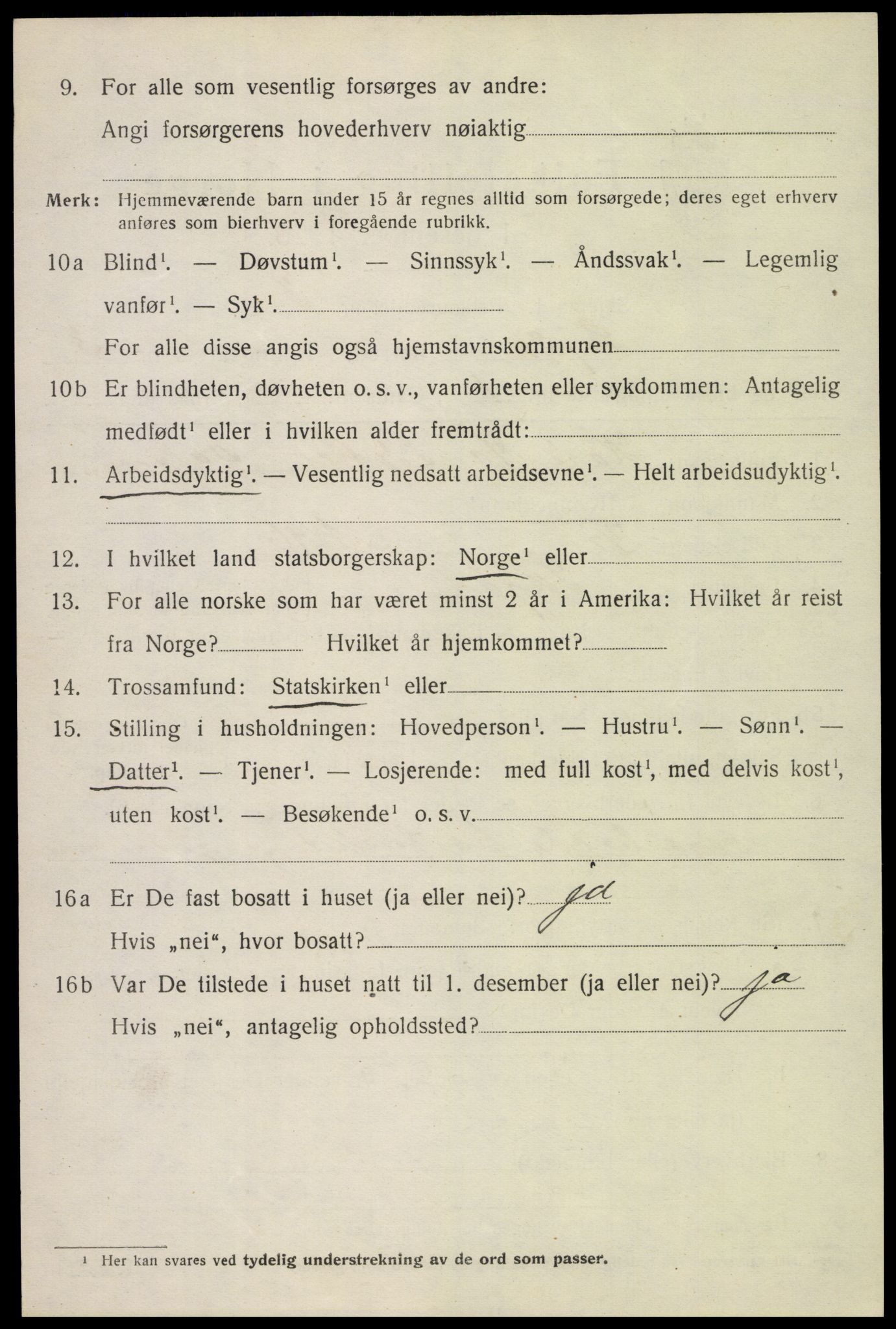 SAH, 1920 census for Skjåk, 1920, p. 1565