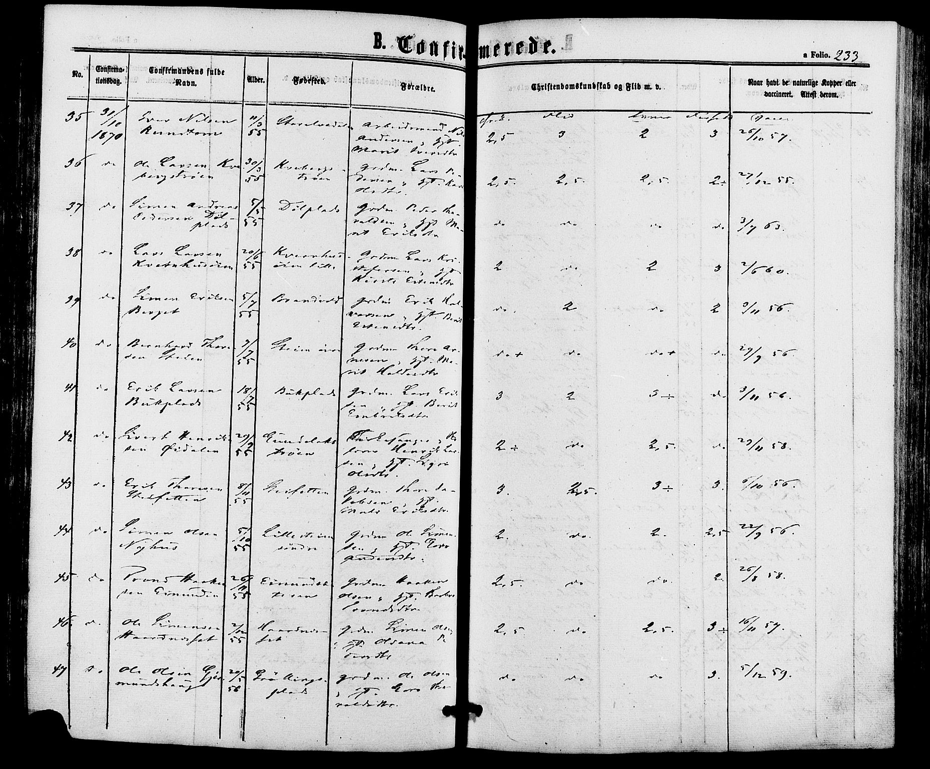 Alvdal prestekontor, AV/SAH-PREST-060/H/Ha/Haa/L0001: Parish register (official) no. 1, 1863-1882, p. 233