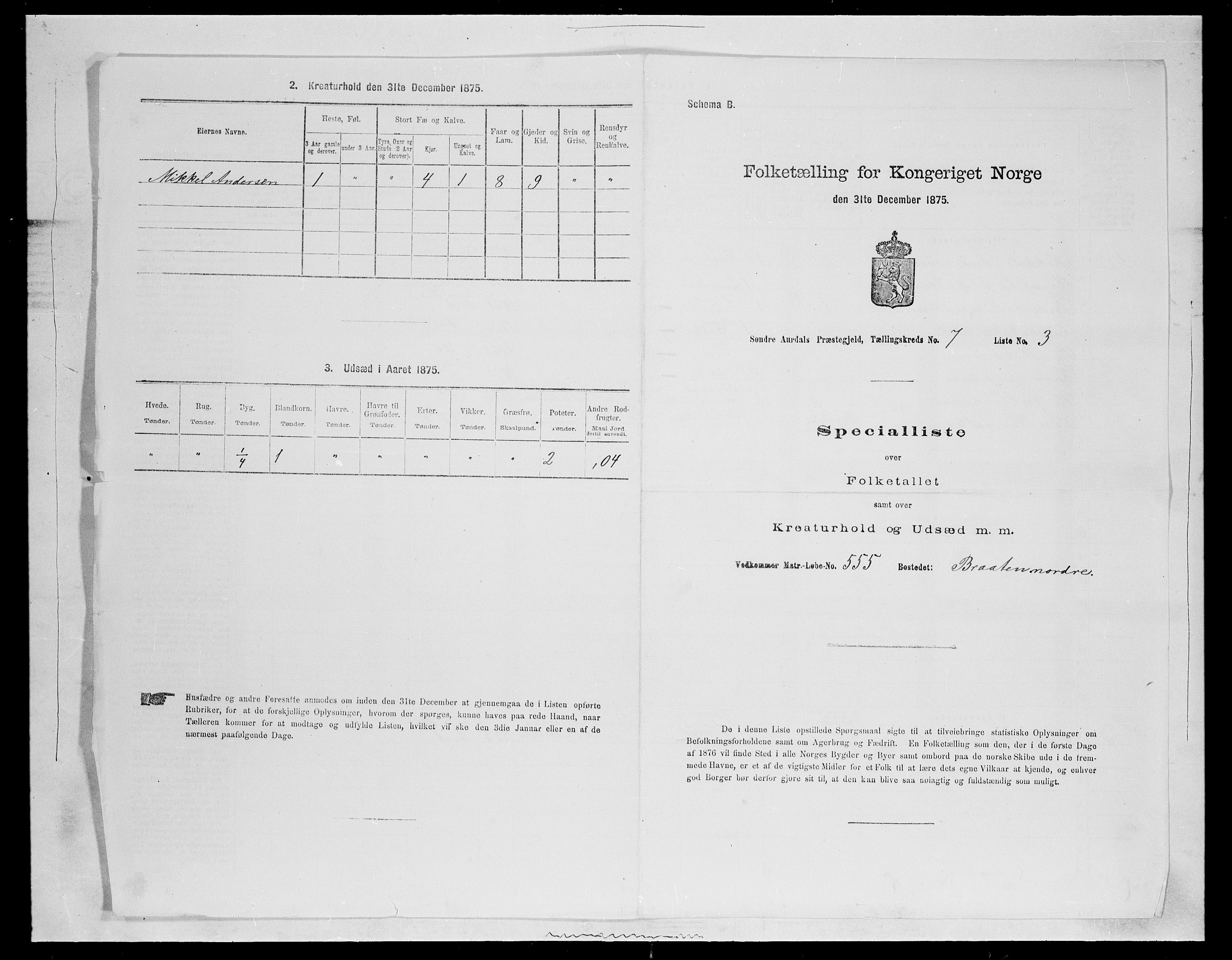 SAH, 1875 census for 0540P Sør-Aurdal, 1875, p. 1154