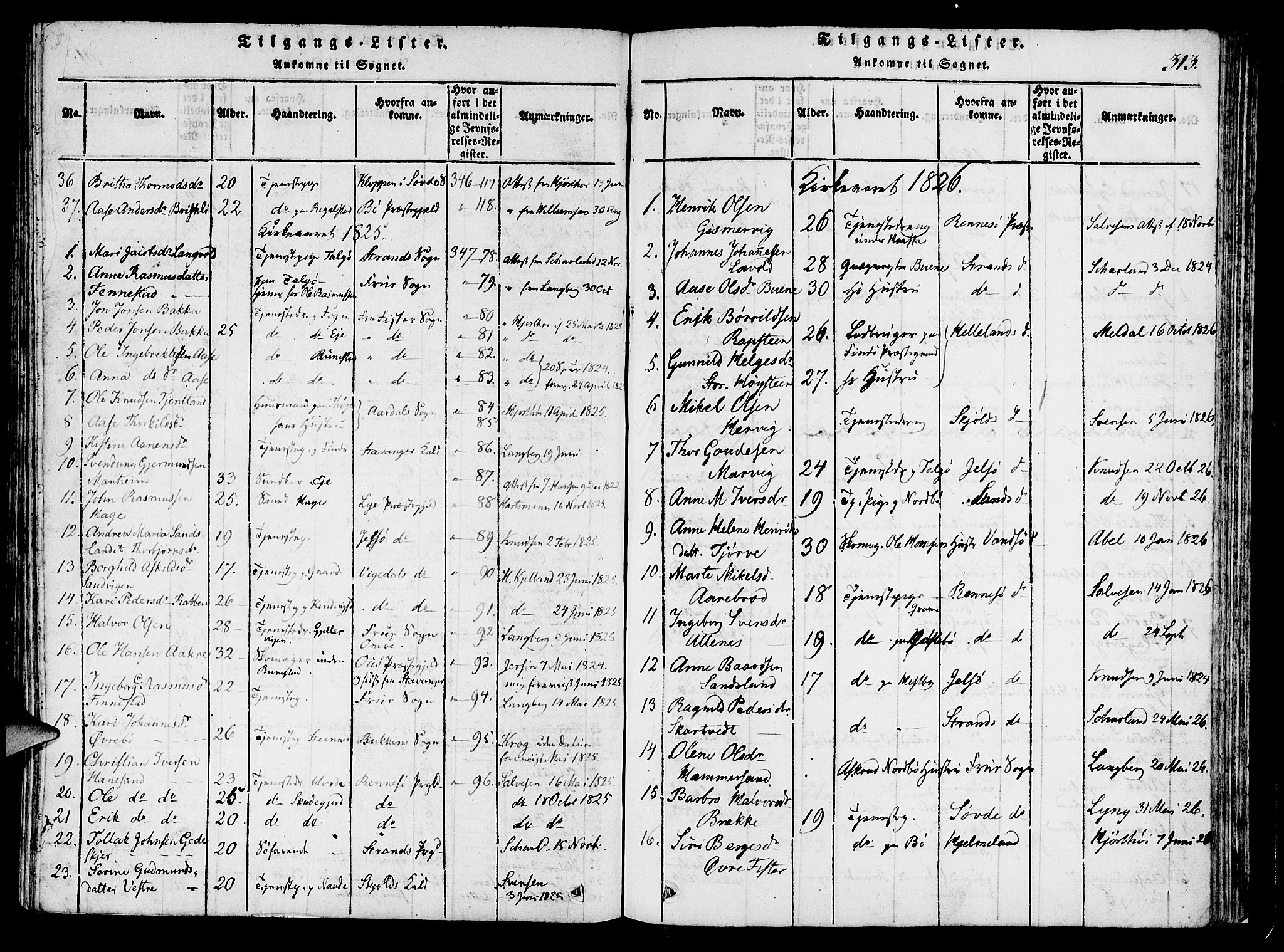 Finnøy sokneprestkontor, SAST/A-101825/H/Ha/Haa/L0006: Parish register (official) no. A 6, 1816-1846, p. 313