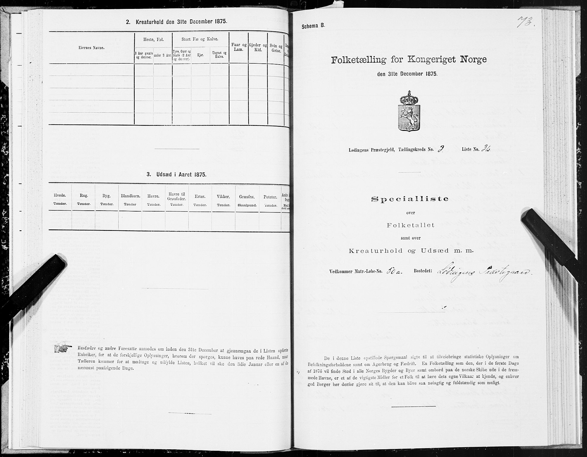 SAT, 1875 census for 1851P Lødingen, 1875, p. 2073