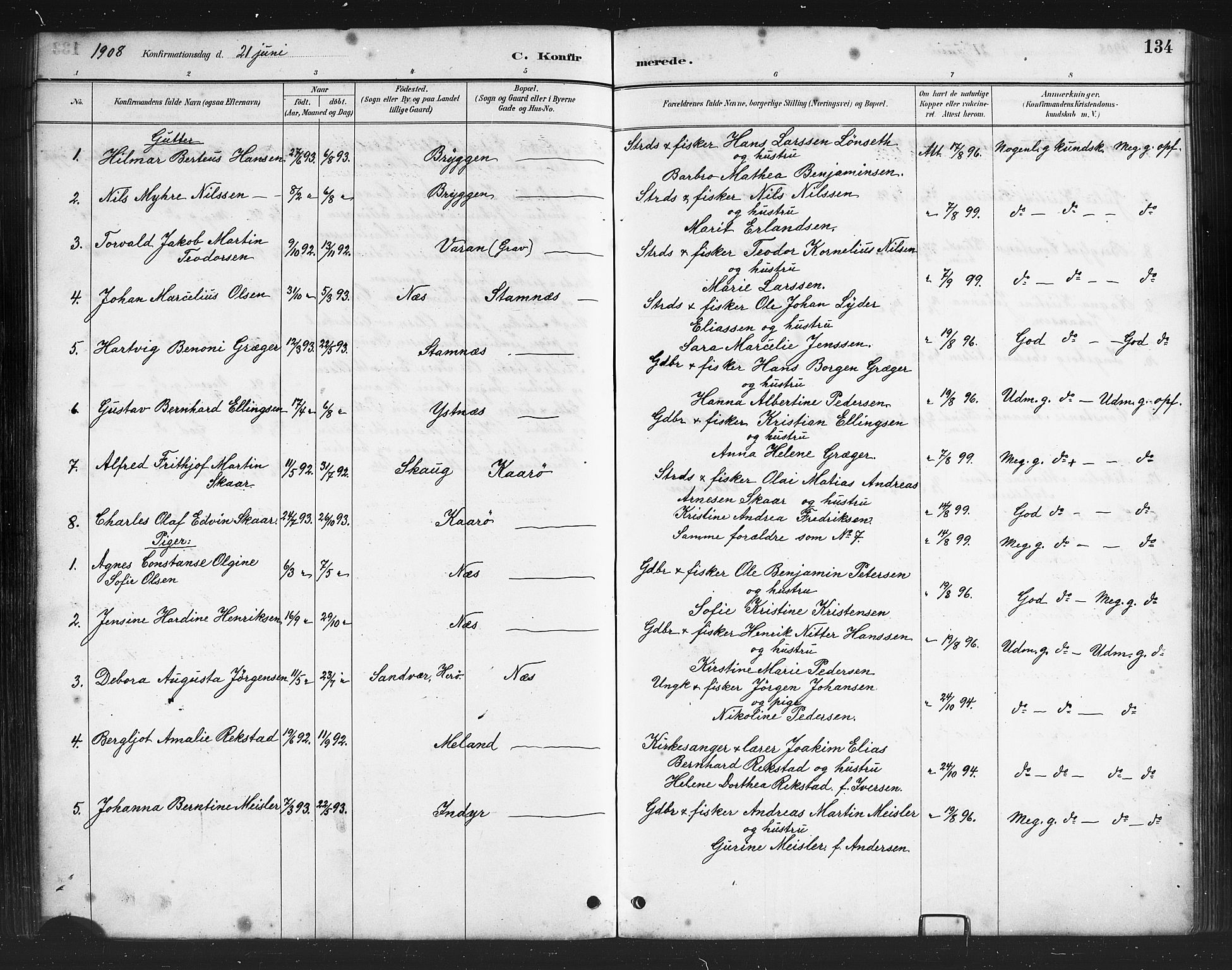 Ministerialprotokoller, klokkerbøker og fødselsregistre - Nordland, AV/SAT-A-1459/808/L0131: Parish register (copy) no. 808C02, 1879-1919, p. 134