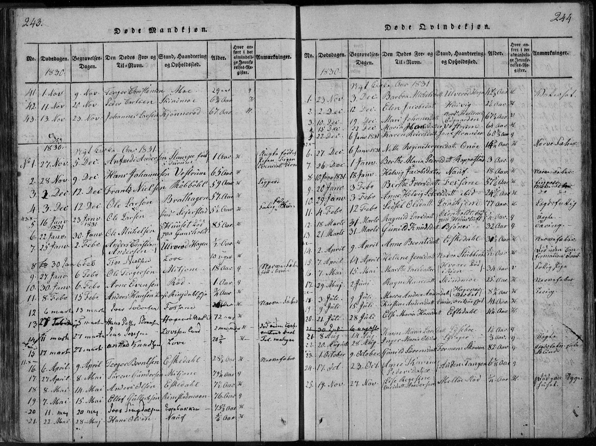 Hedrum kirkebøker, AV/SAKO-A-344/F/Fa/L0004: Parish register (official) no. I 4, 1817-1835, p. 243-244
