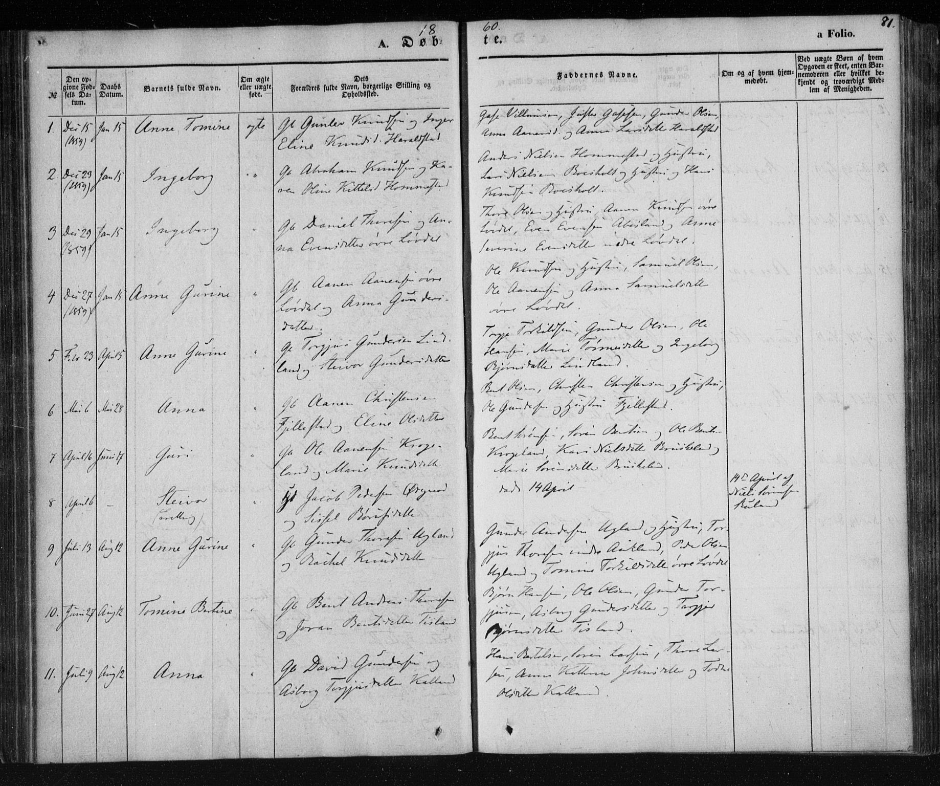 Holum sokneprestkontor, AV/SAK-1111-0022/F/Fa/Fab/L0005: Parish register (official) no. A 5, 1847-1874, p. 81