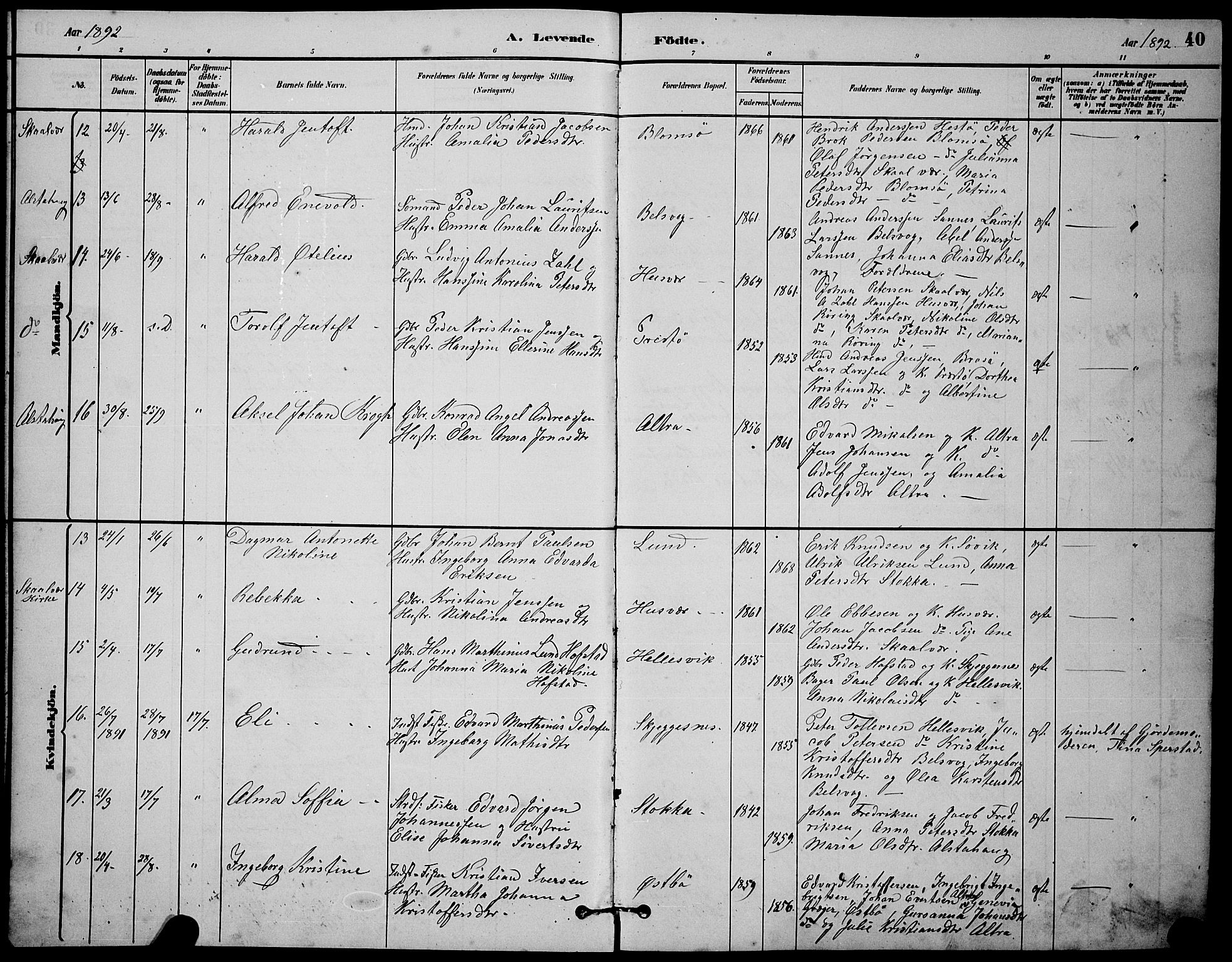 Ministerialprotokoller, klokkerbøker og fødselsregistre - Nordland, AV/SAT-A-1459/830/L0462: Parish register (copy) no. 830C04, 1882-1895, p. 40