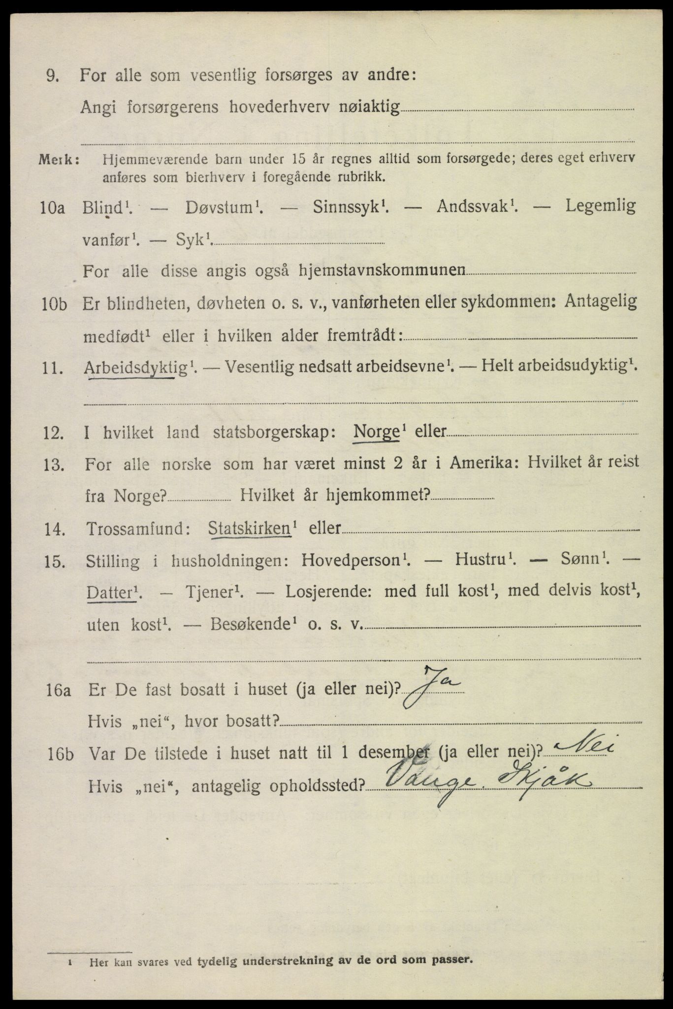 SAH, 1920 census for Skjåk, 1920, p. 2981