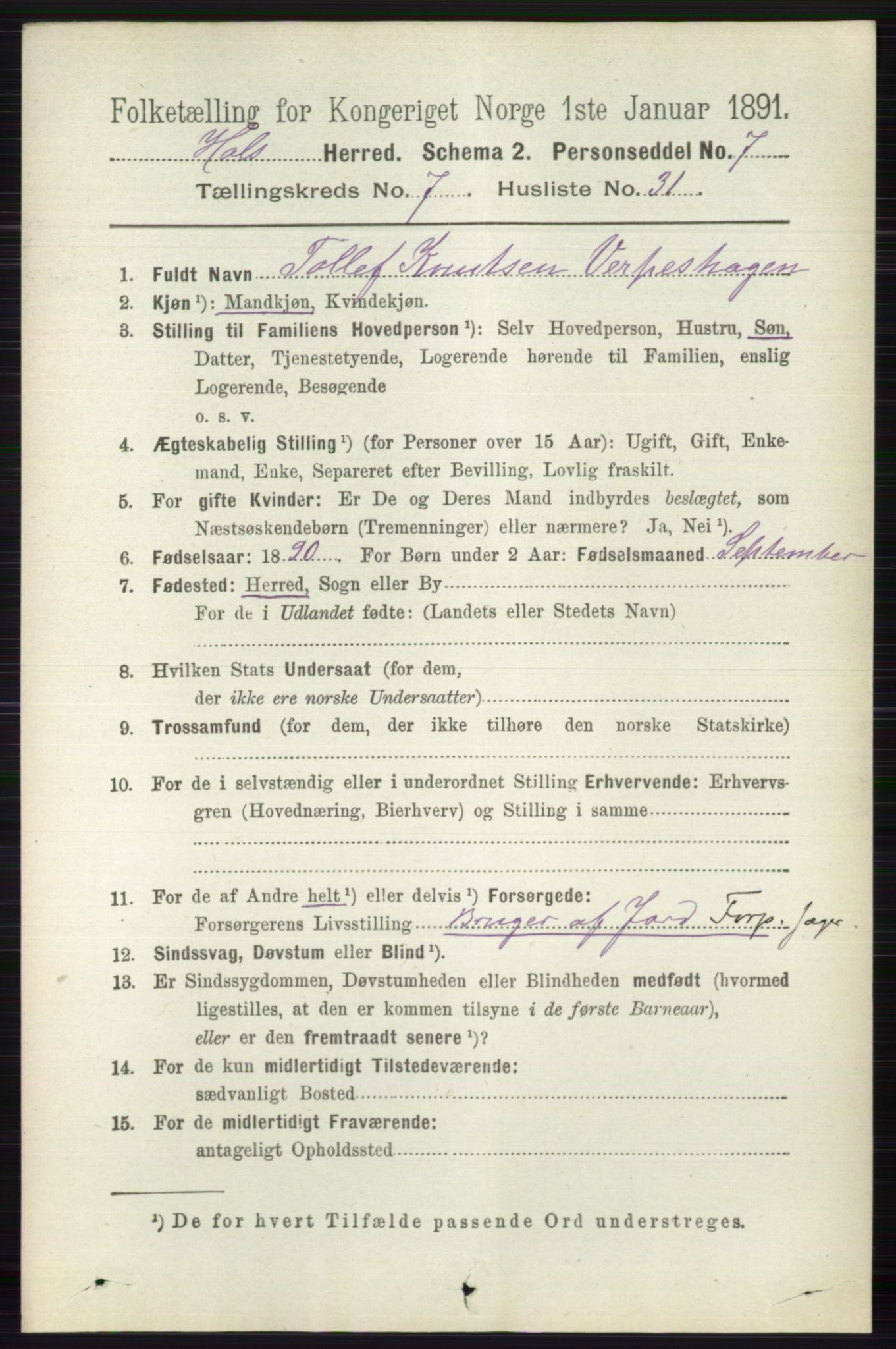 RA, 1891 census for 0620 Hol, 1891, p. 2203