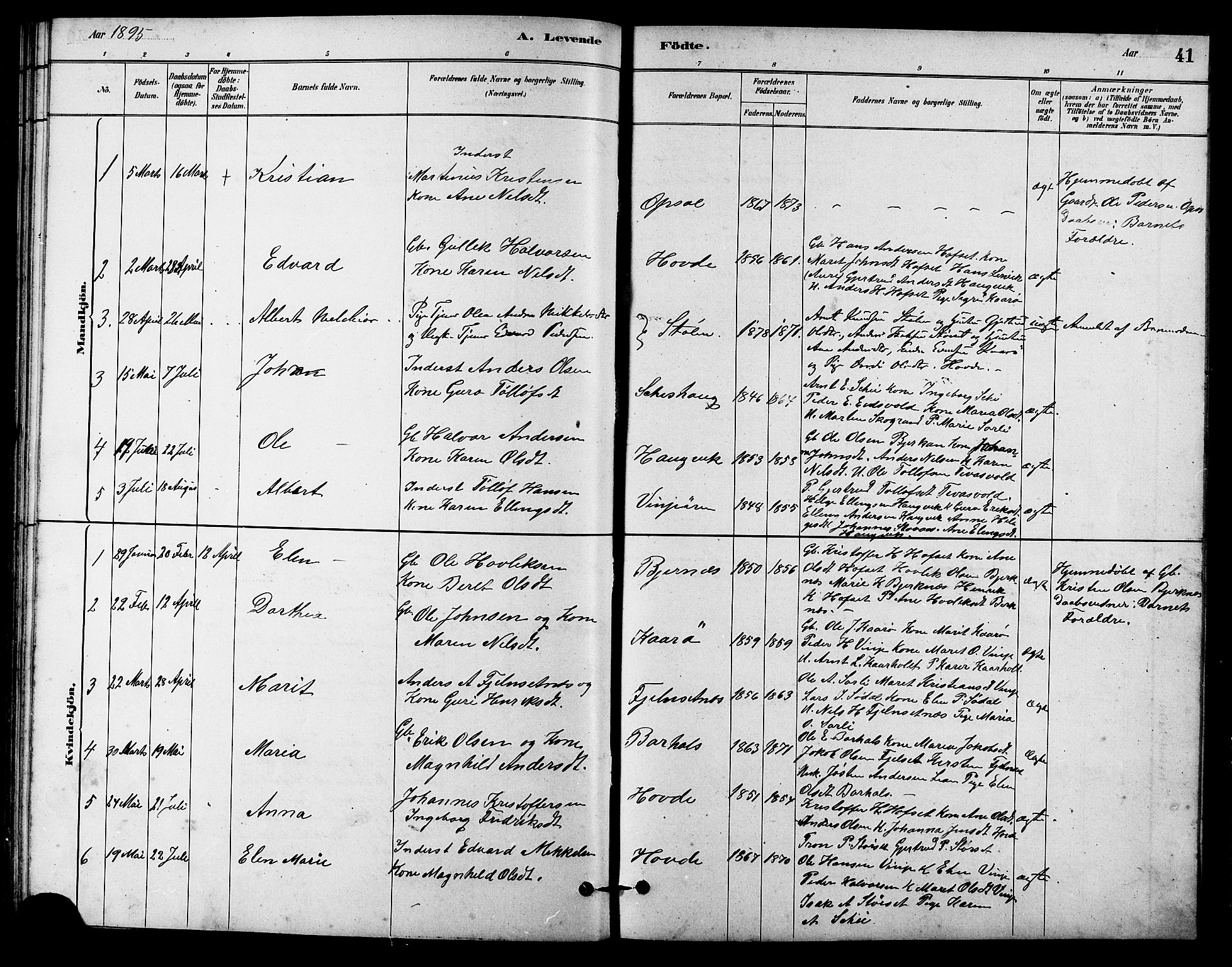 Ministerialprotokoller, klokkerbøker og fødselsregistre - Sør-Trøndelag, SAT/A-1456/631/L0514: Parish register (copy) no. 631C02, 1879-1912, p. 41