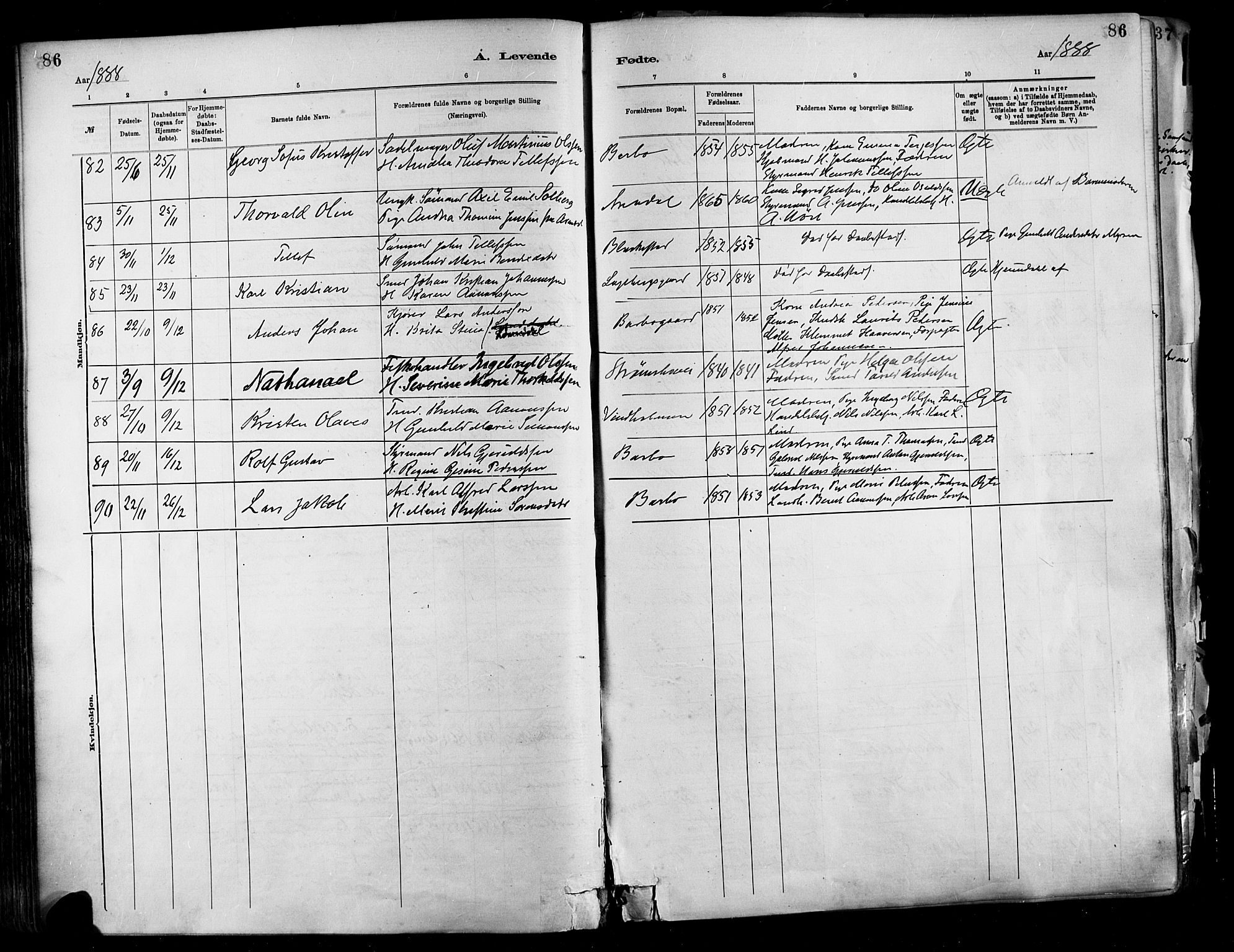 Barbu sokneprestkontor, AV/SAK-1111-0003/F/Fa/L0002: Parish register (official) no. A 2, 1883-1898, p. 86