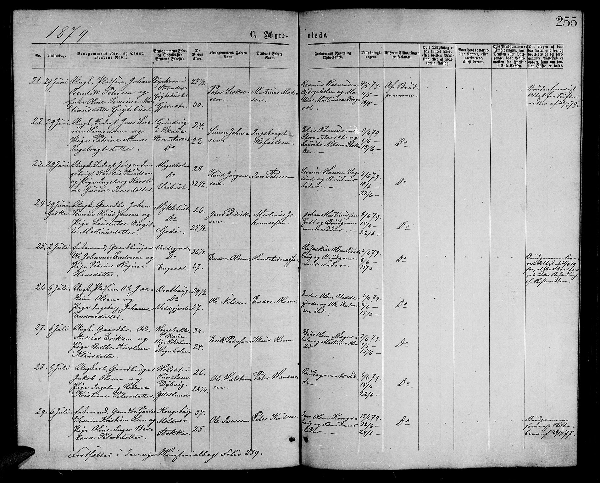 Ministerialprotokoller, klokkerbøker og fødselsregistre - Møre og Romsdal, AV/SAT-A-1454/528/L0428: Parish register (copy) no. 528C09, 1864-1880, p. 255