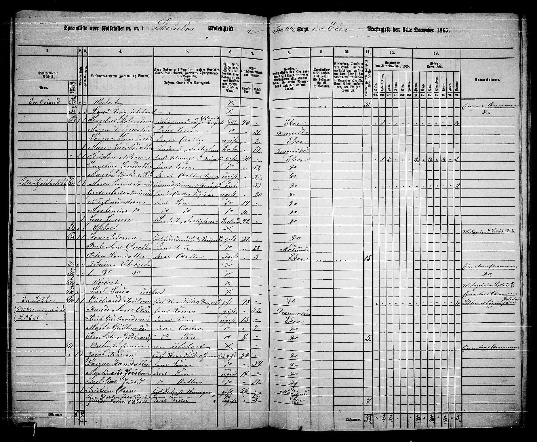 RA, 1865 census for Eiker, 1865, p. 484