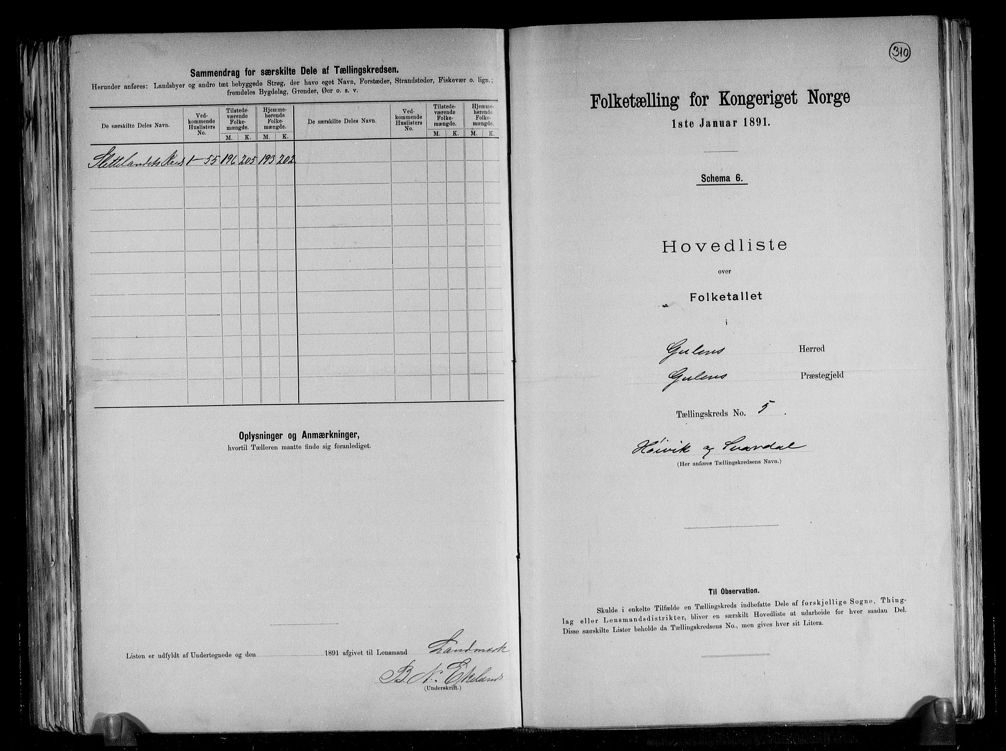 RA, 1891 census for 1411 Gulen, 1891, p. 13