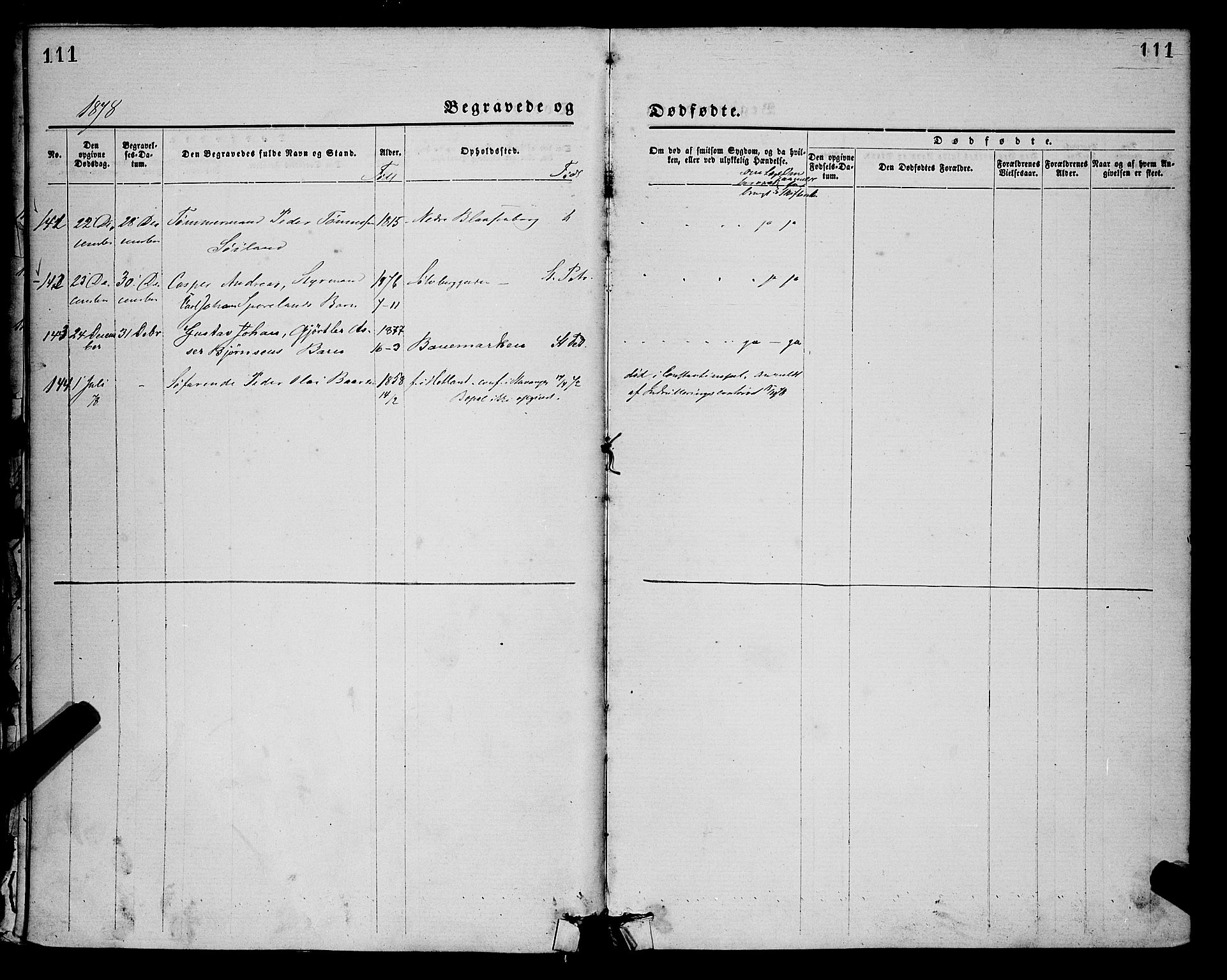 St. Petri sokneprestkontor, SAST/A-101813/001/30/30BA/L0012: Parish register (official) no. A 12, 1873-1878, p. 111