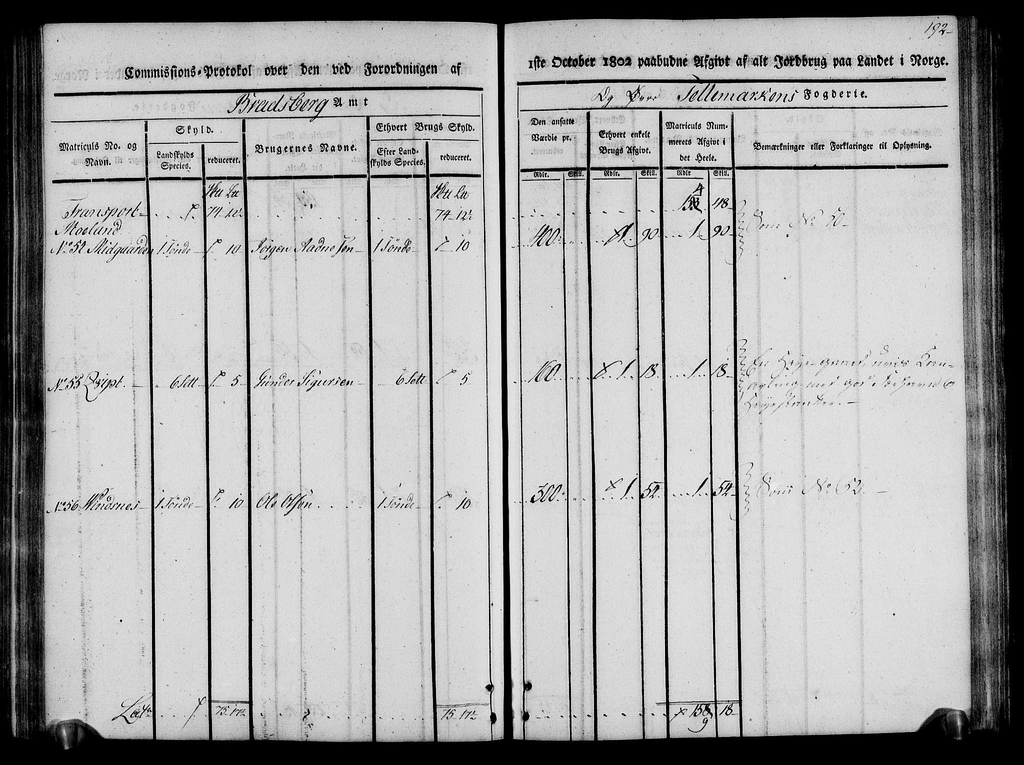 Rentekammeret inntil 1814, Realistisk ordnet avdeling, AV/RA-EA-4070/N/Ne/Nea/L0075: Øvre Telemarken fogderi. Kommisjonsprotokoll for fogderiets vestre del - Kviteseid, Vinje, Moland [):Fyresdal] og Lårdal prestegjeld., 1803, p. 194