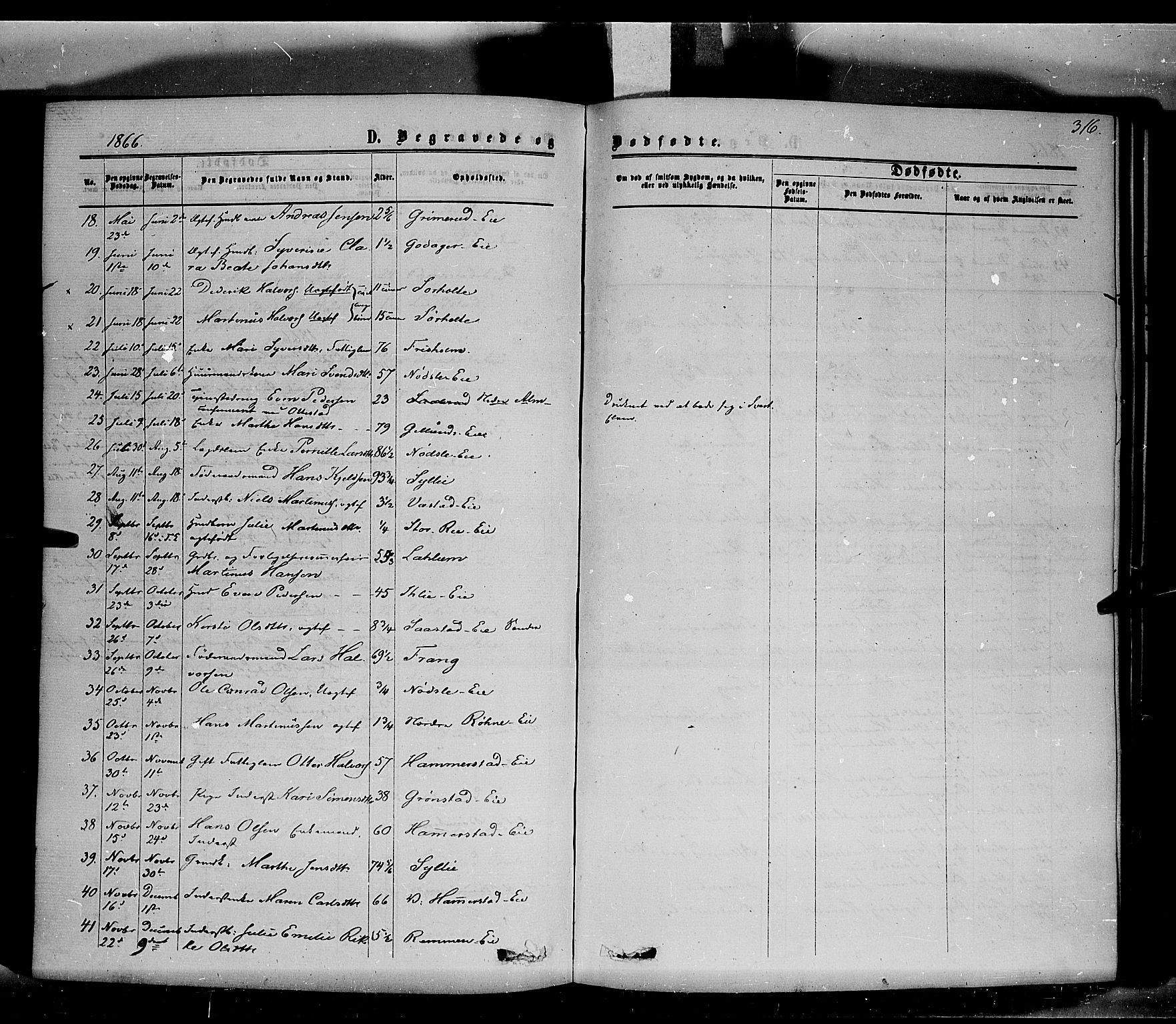 Stange prestekontor, SAH/PREST-002/K/L0013: Parish register (official) no. 13, 1862-1879, p. 316